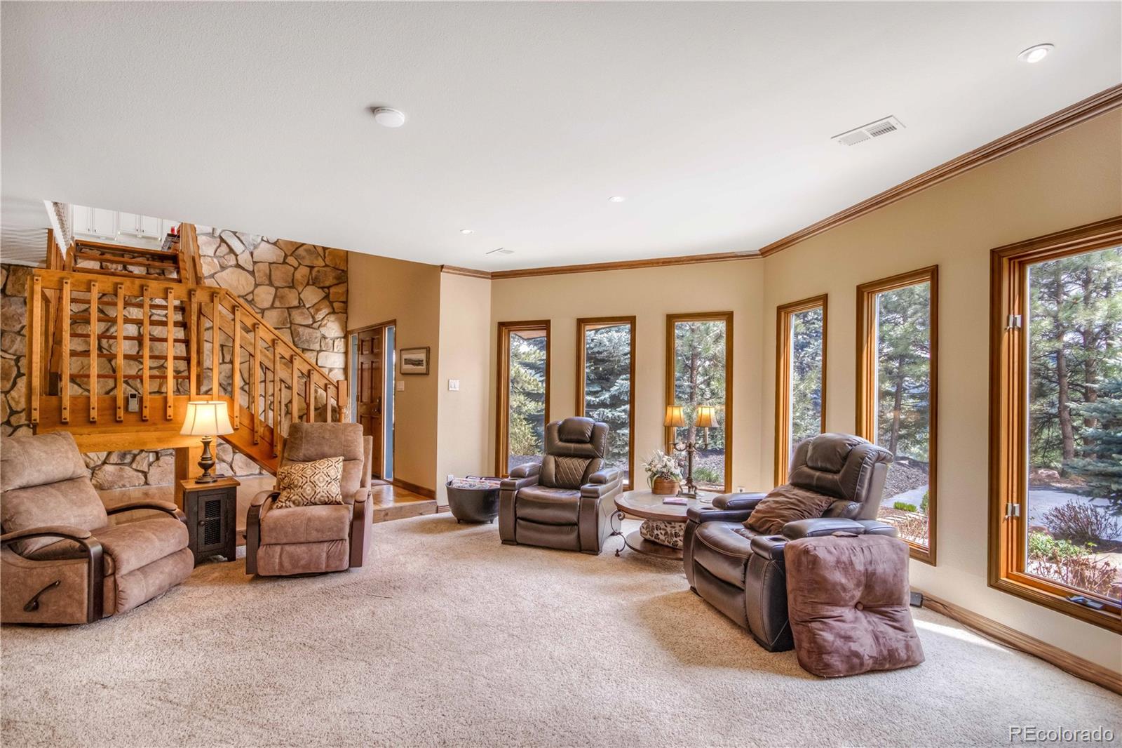 MLS Image #13 for 7008  bluff trail,morrison, Colorado