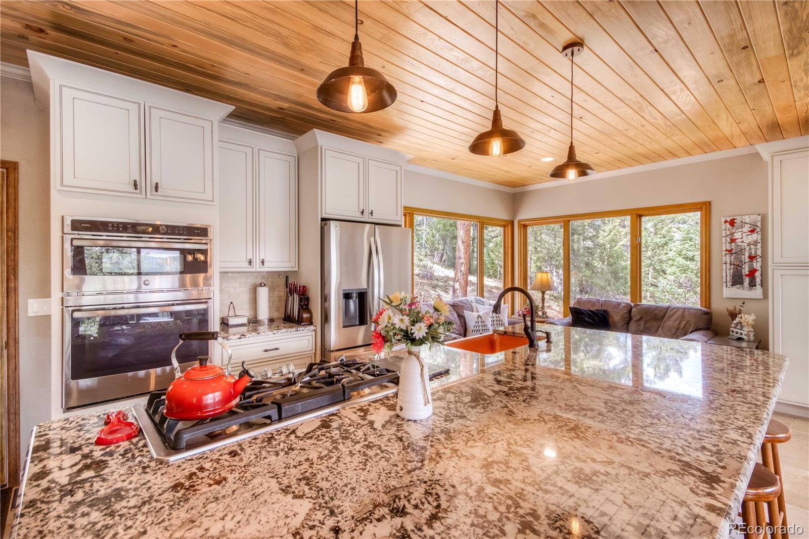 MLS Image #24 for 7008  bluff trail,morrison, Colorado