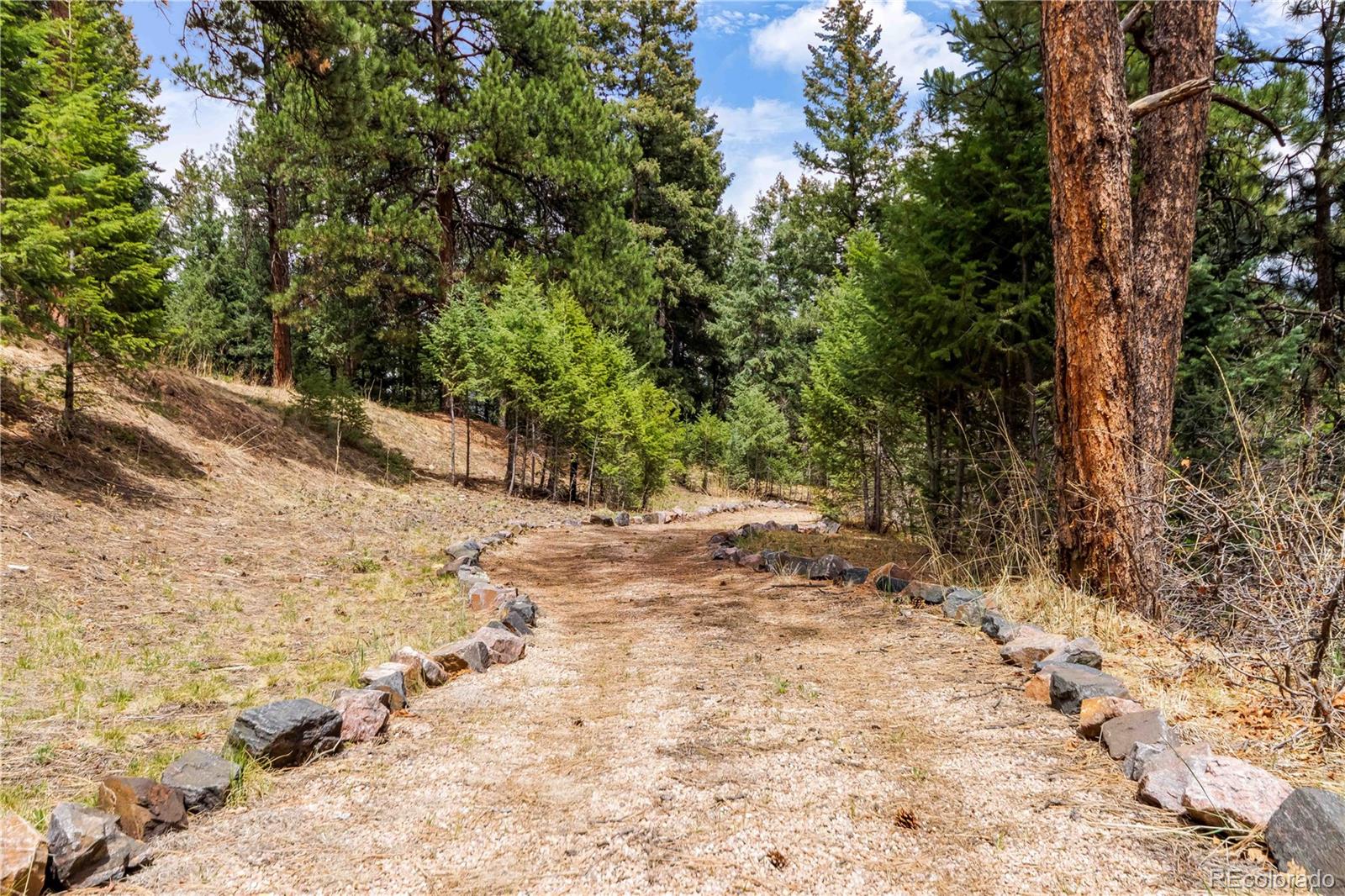 MLS Image #4 for 7008  bluff trail,morrison, Colorado