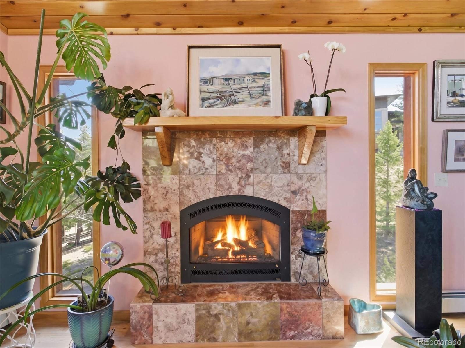 MLS Image #12 for 232  highlands drive,bailey, Colorado