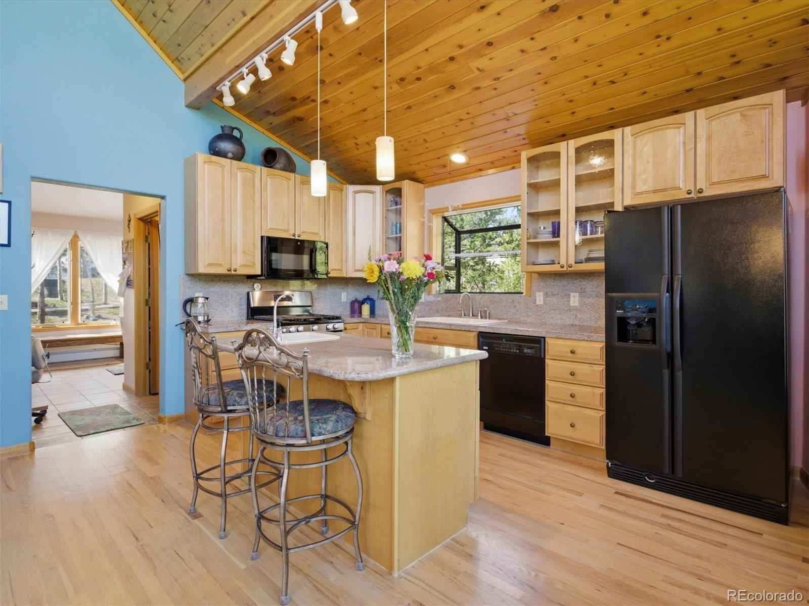 MLS Image #14 for 232  highlands drive,bailey, Colorado