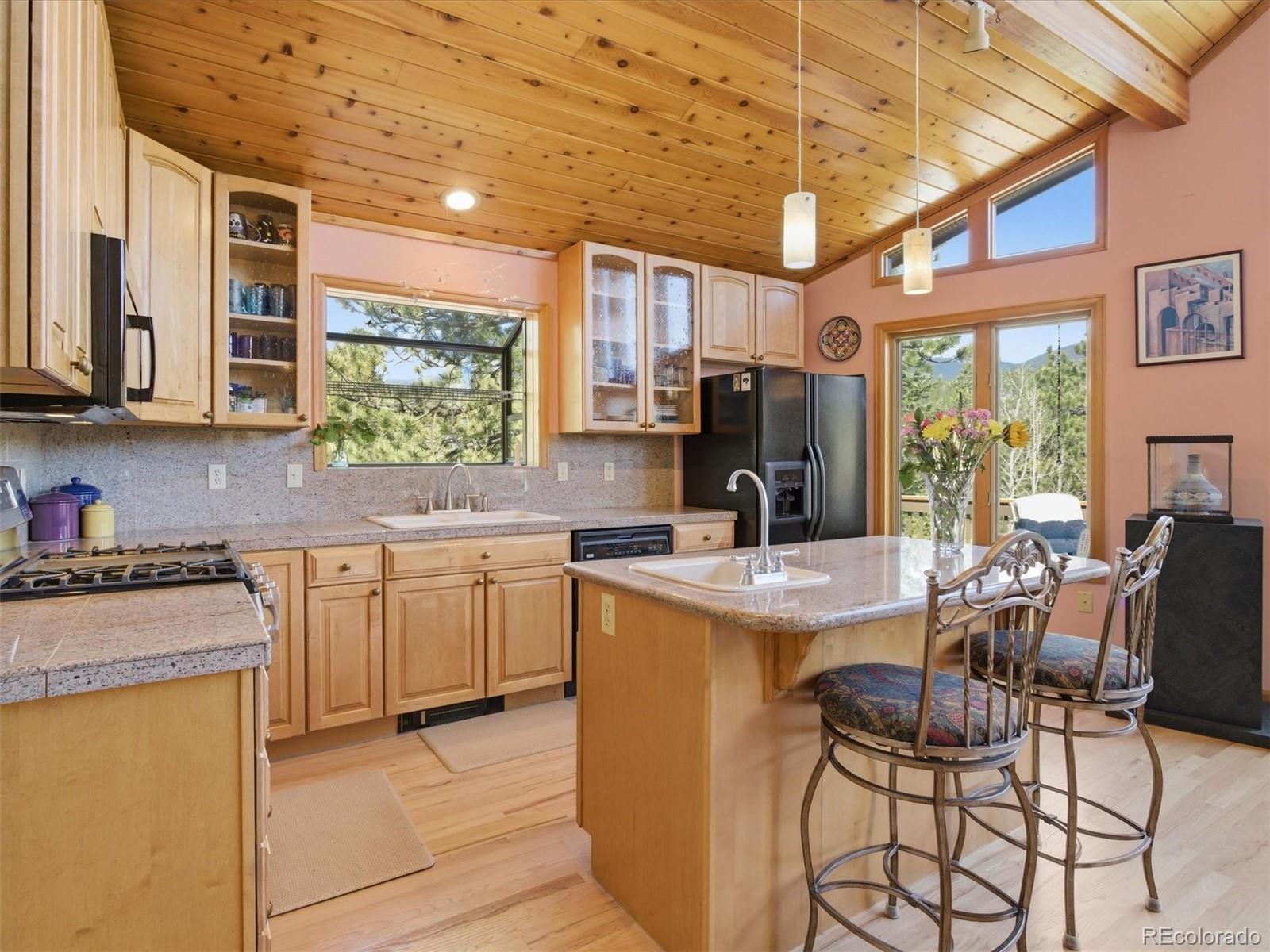 MLS Image #15 for 232  highlands drive,bailey, Colorado