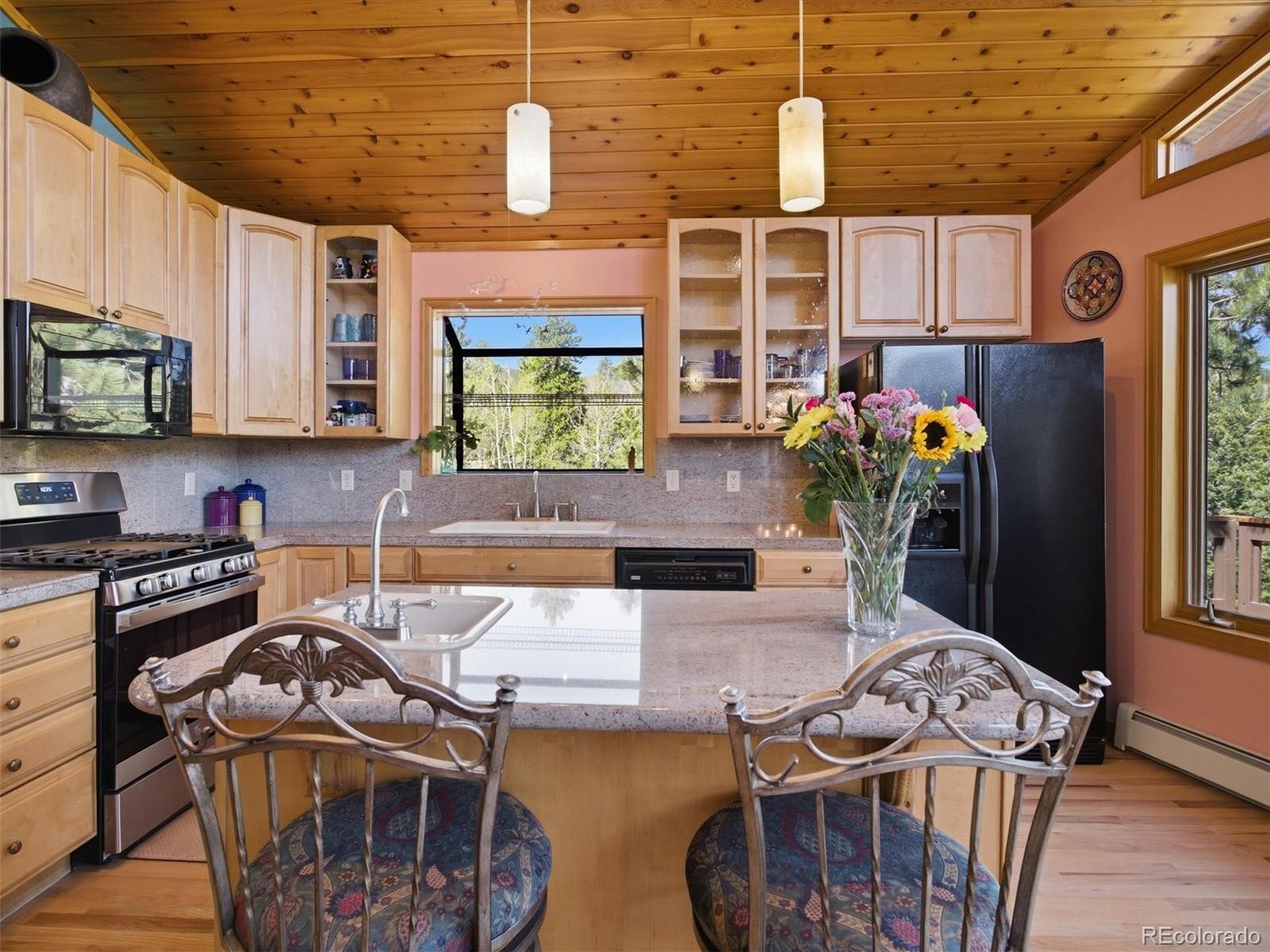 MLS Image #16 for 232  highlands drive,bailey, Colorado