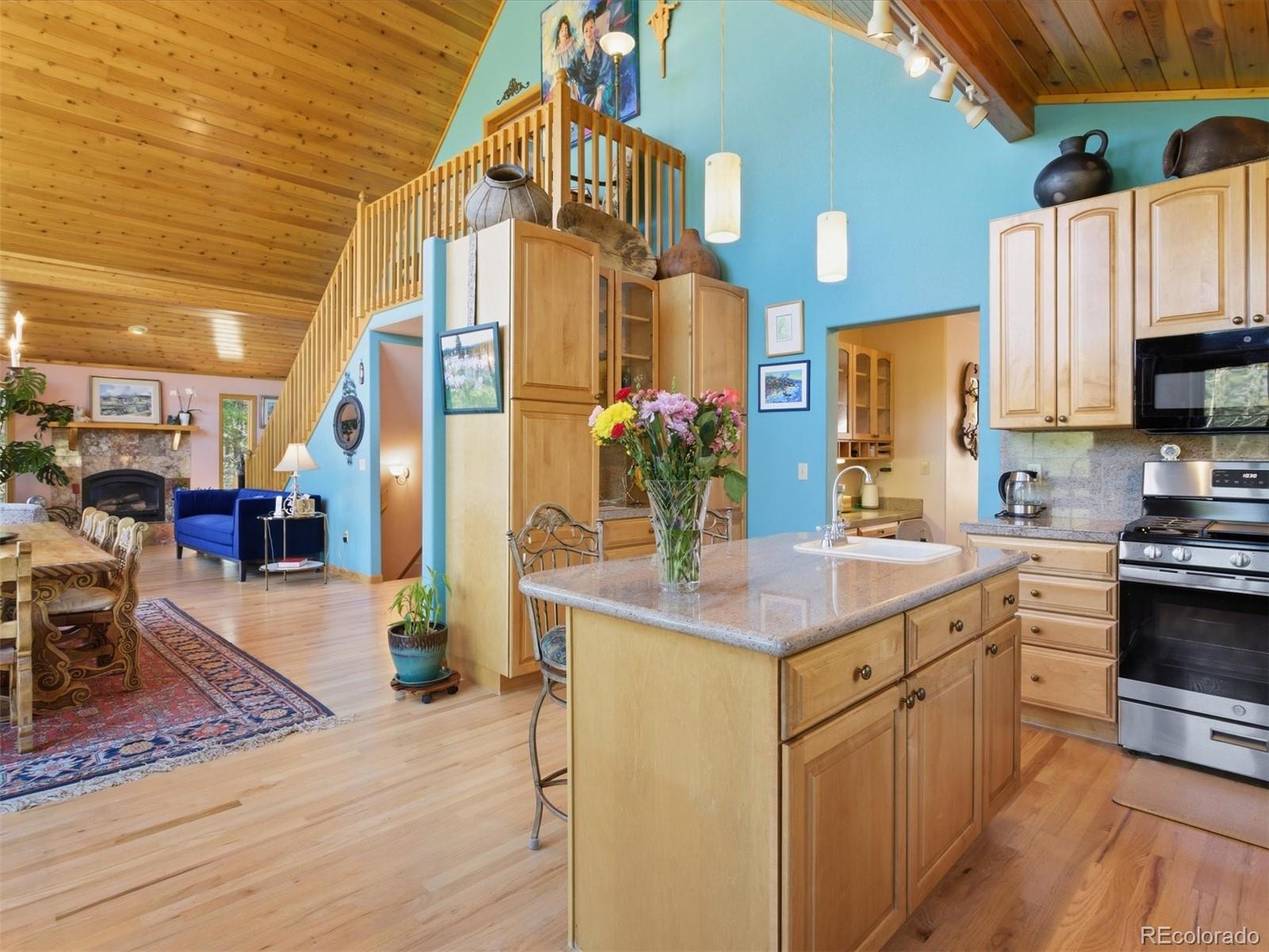 MLS Image #17 for 232  highlands drive,bailey, Colorado