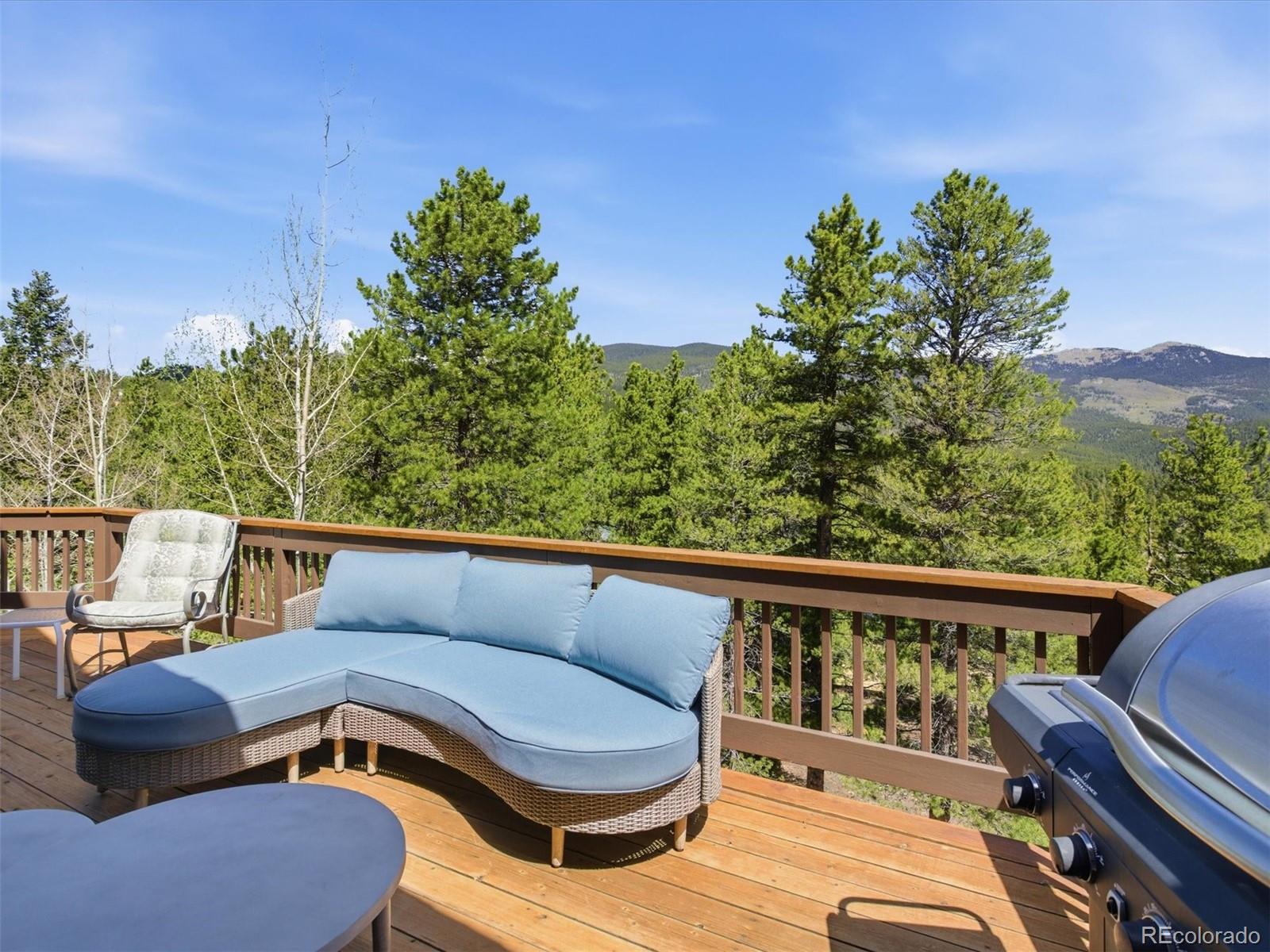 MLS Image #19 for 232  highlands drive,bailey, Colorado