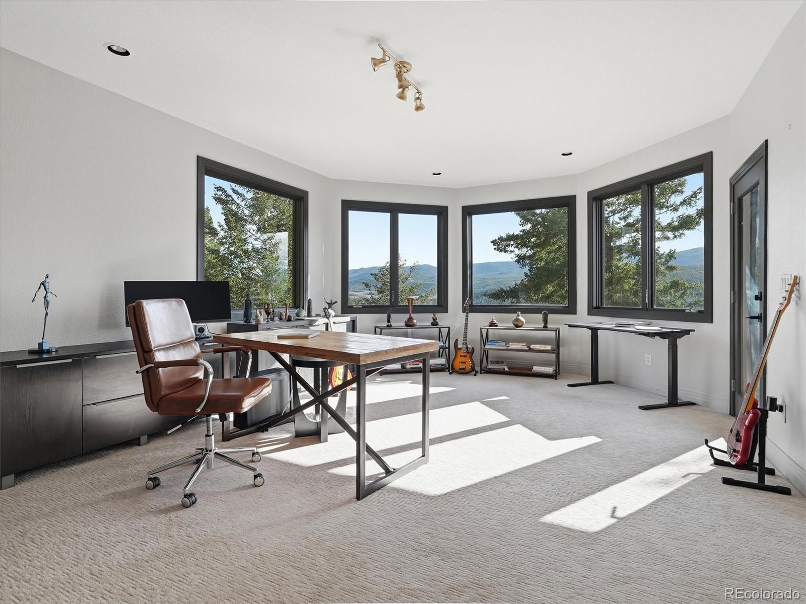 MLS Image #12 for 7260 s frog hollow lane,evergreen, Colorado
