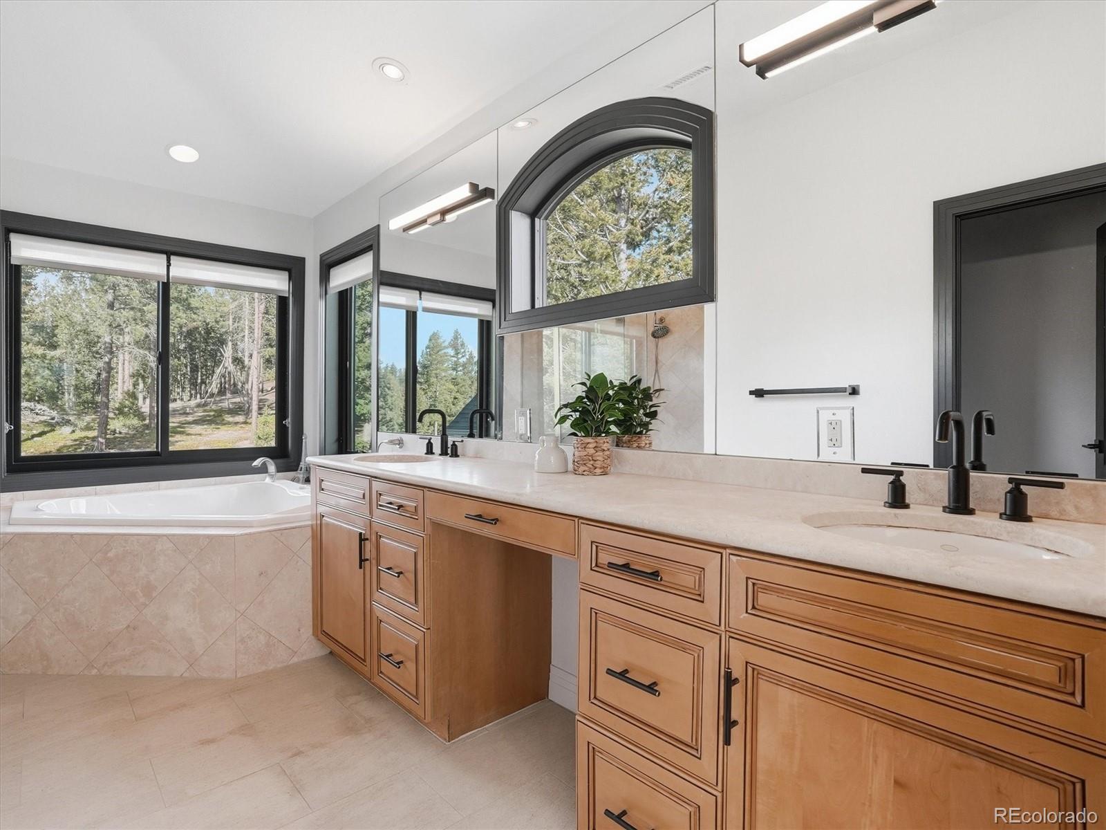 MLS Image #21 for 7260 s frog hollow lane,evergreen, Colorado