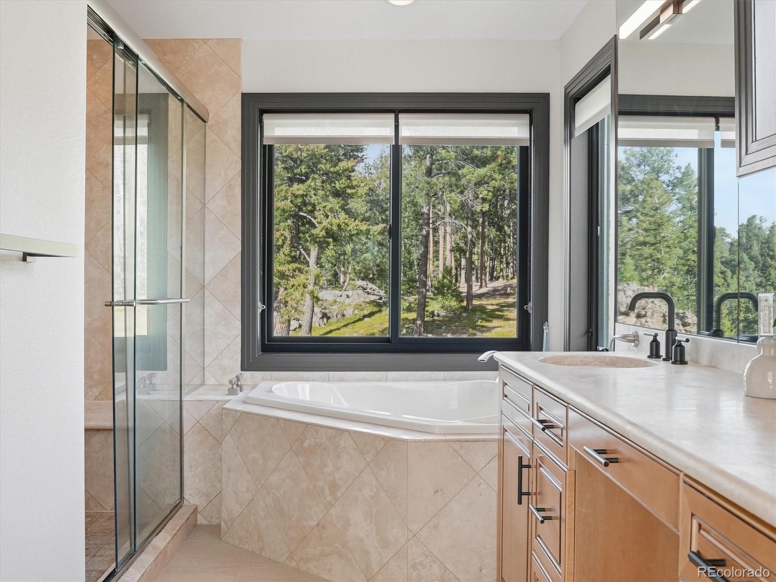 MLS Image #22 for 7260 s frog hollow lane,evergreen, Colorado