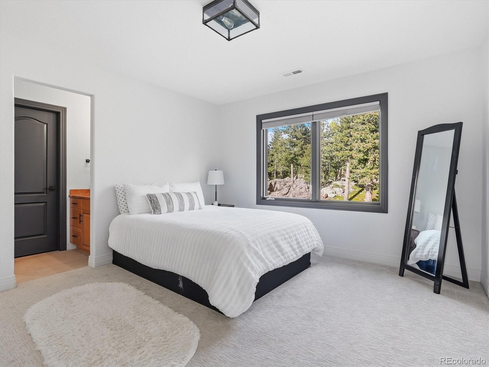 MLS Image #23 for 7260 s frog hollow lane,evergreen, Colorado