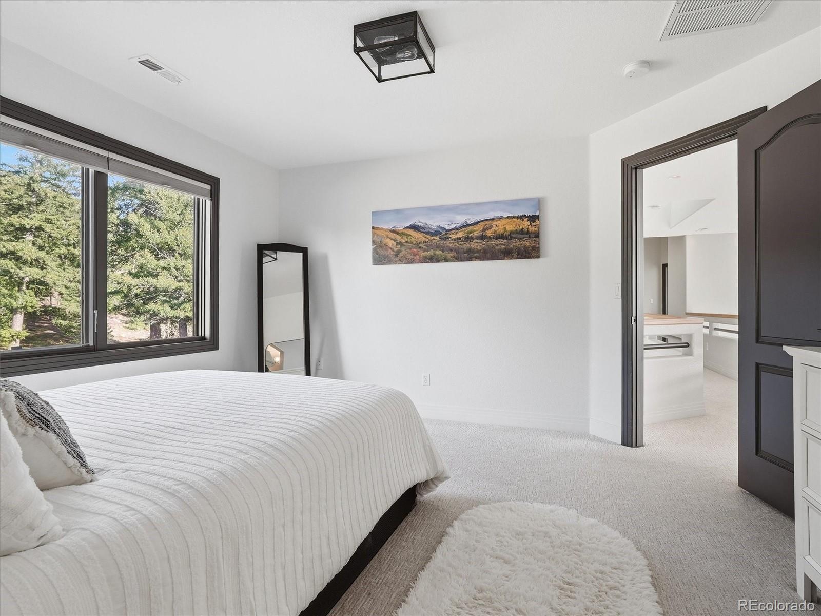 MLS Image #24 for 7260 s frog hollow lane,evergreen, Colorado