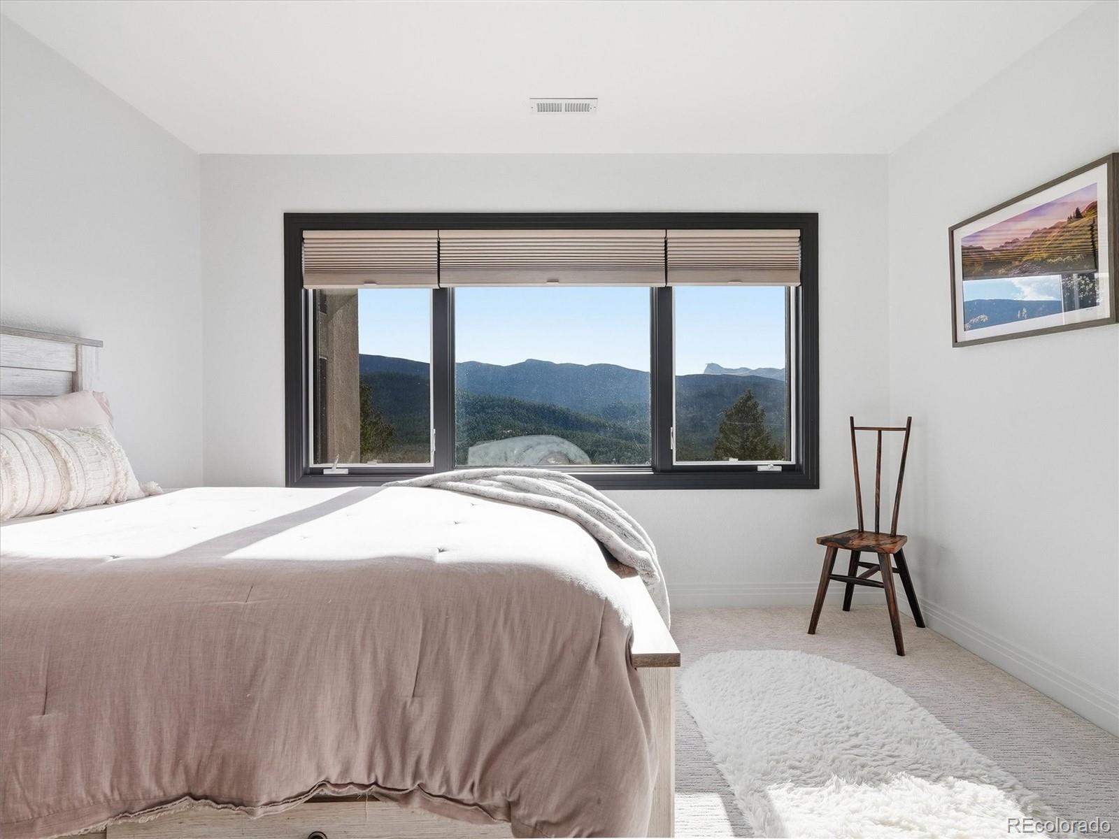 MLS Image #25 for 7260 s frog hollow lane,evergreen, Colorado