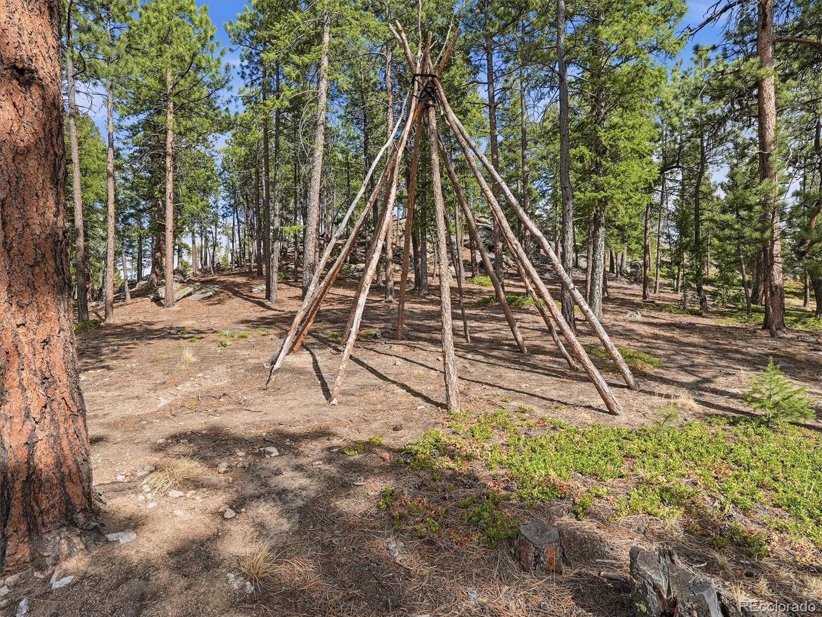 MLS Image #42 for 7260 s frog hollow lane,evergreen, Colorado