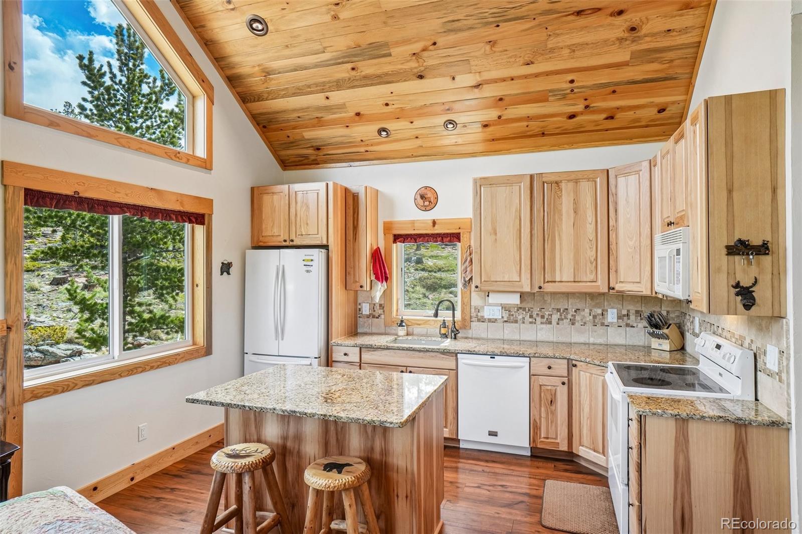 MLS Image #4 for 5647 n county road 73c ,red feather lakes, Colorado