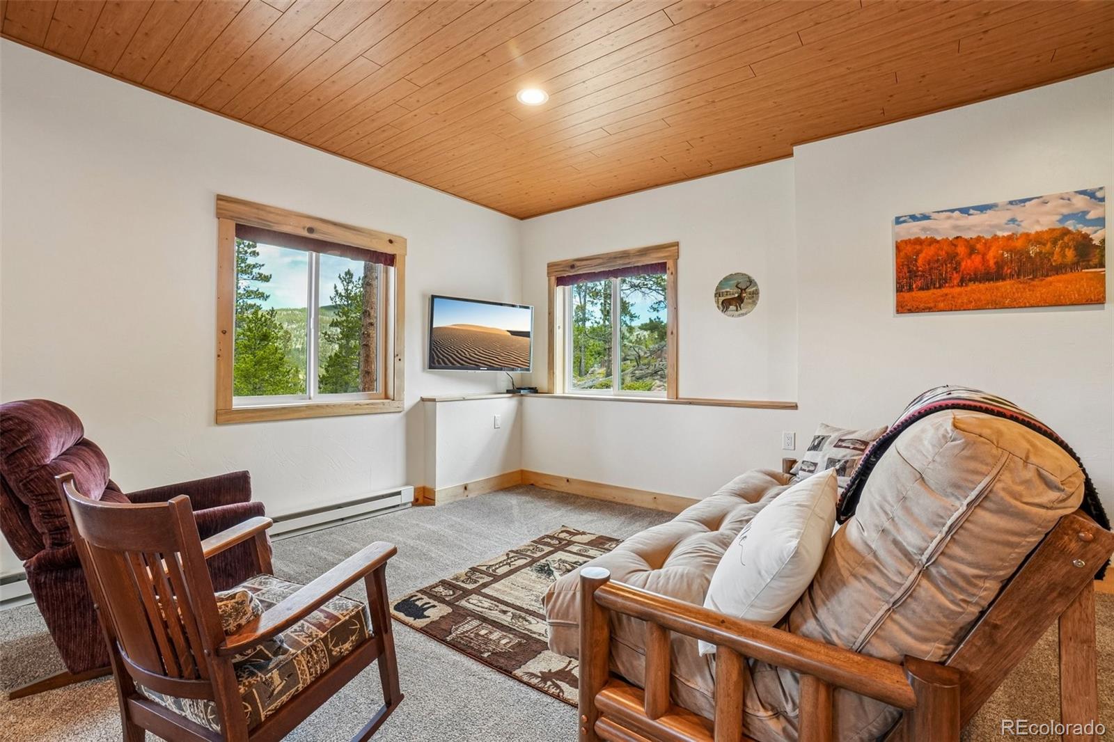 MLS Image #8 for 5647 n county road 73c ,red feather lakes, Colorado