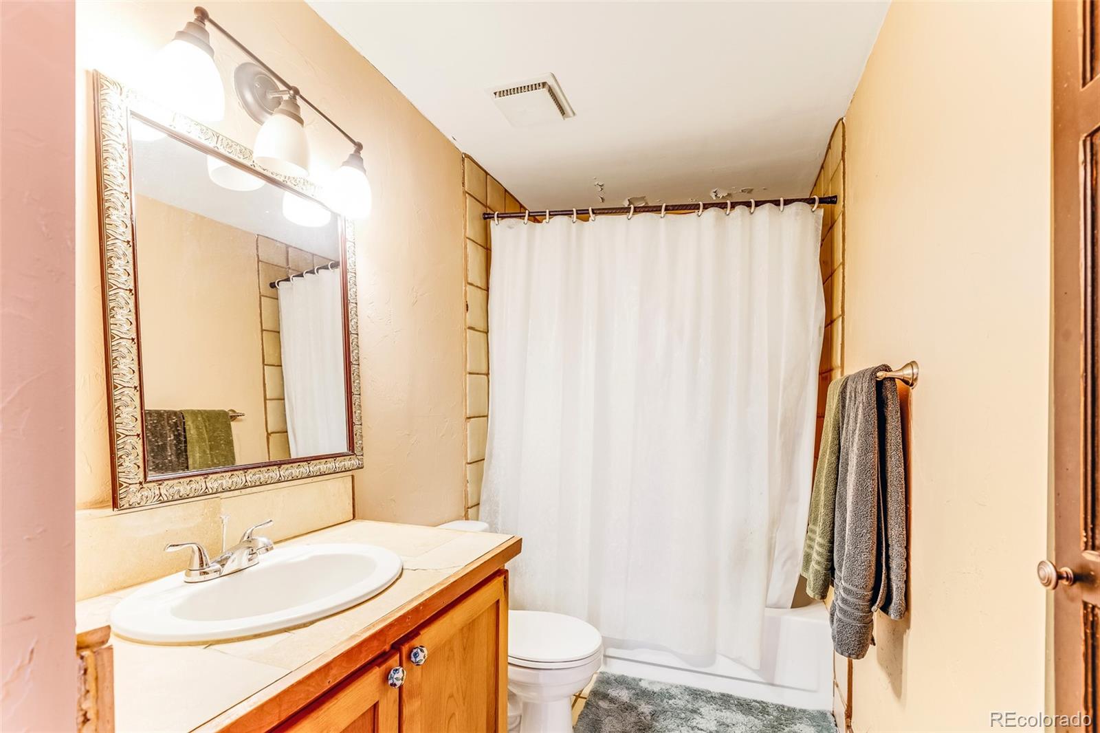 MLS Image #30 for 29 s oak street,alma, Colorado