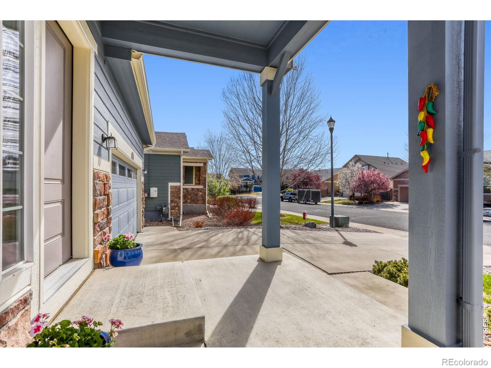 MLS Image #4 for 2116  addie rose lane,longmont, Colorado