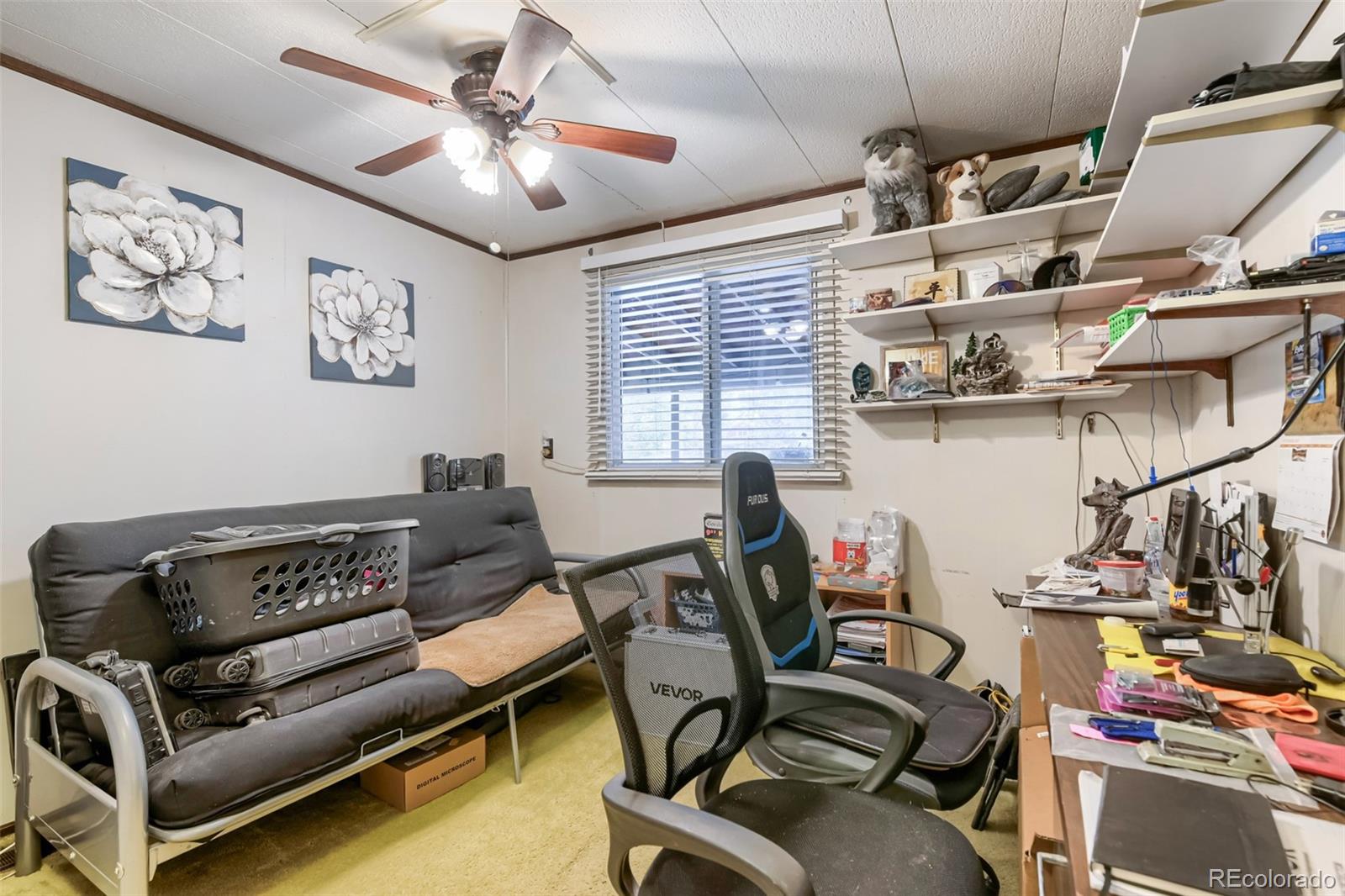 MLS Image #15 for 329  glen creighton drive,dacono, Colorado