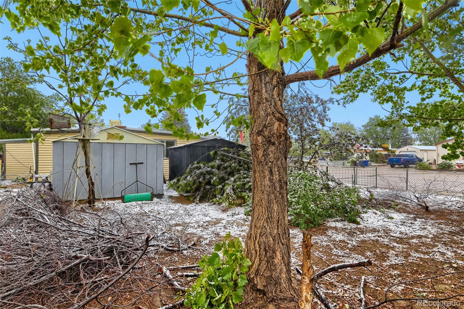 MLS Image #23 for 329  glen creighton drive,dacono, Colorado
