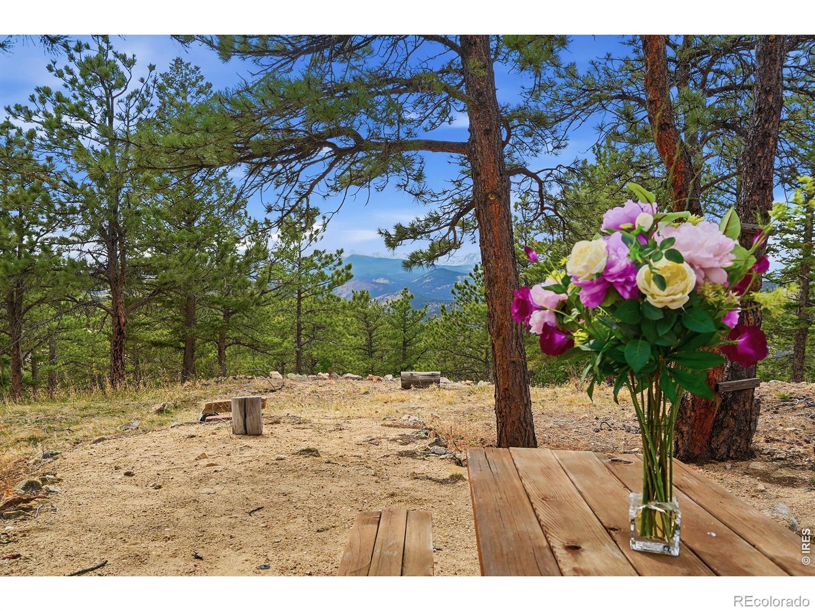 MLS Image #5 for 8695  sunshine canyon drive,boulder, Colorado