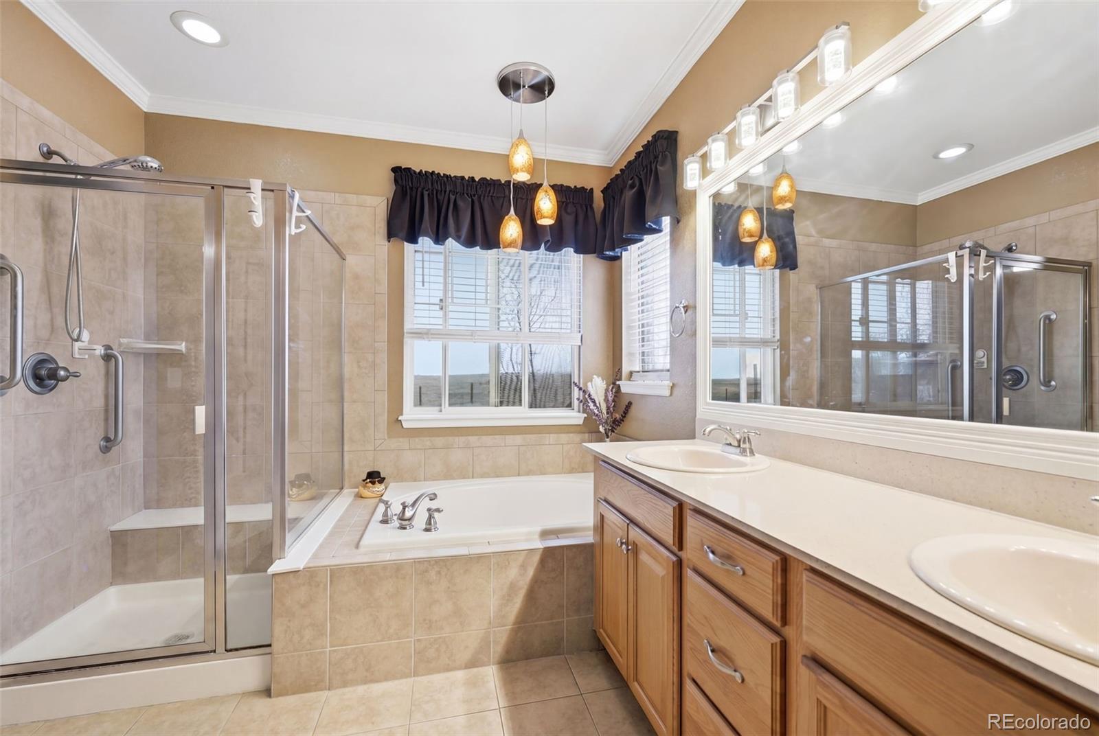 MLS Image #18 for 3198 s nepal way,aurora, Colorado