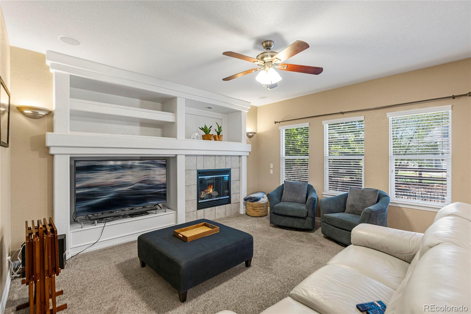 MLS Image #14 for 11943  song bird hills street,parker, Colorado