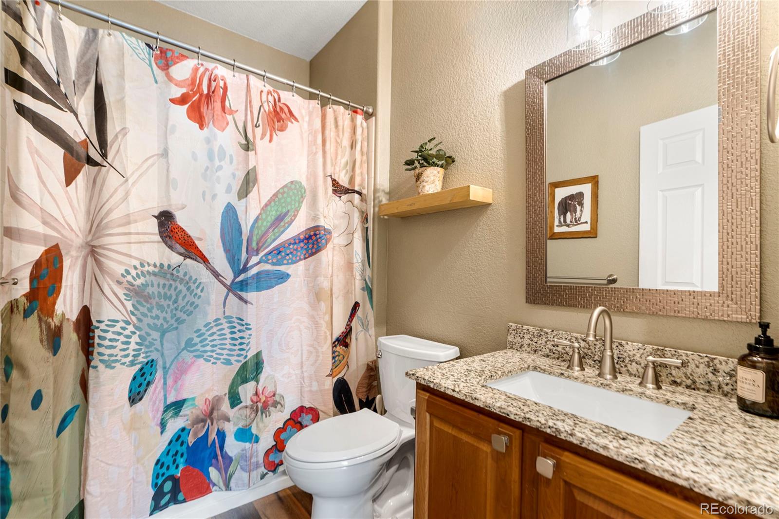 MLS Image #20 for 11943  song bird hills street,parker, Colorado
