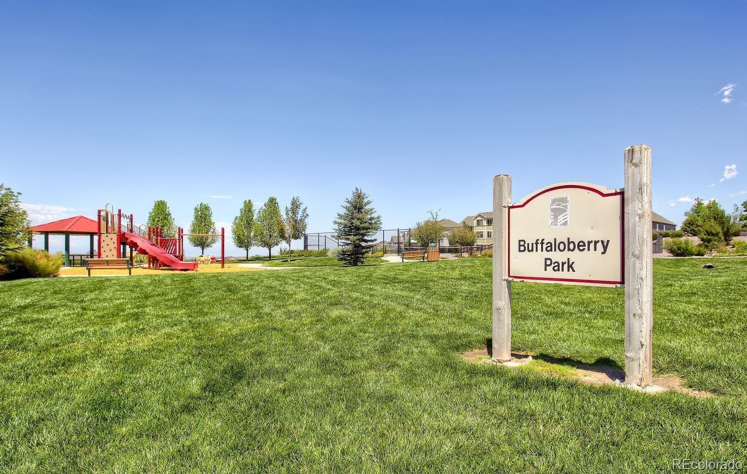 MLS Image #39 for 11943  song bird hills street,parker, Colorado