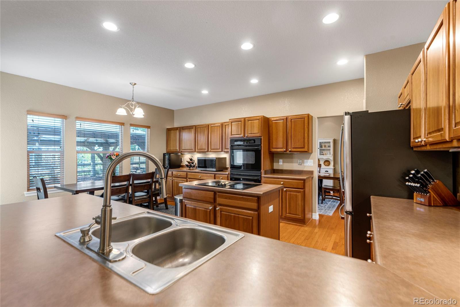 MLS Image #4 for 11943  song bird hills street,parker, Colorado
