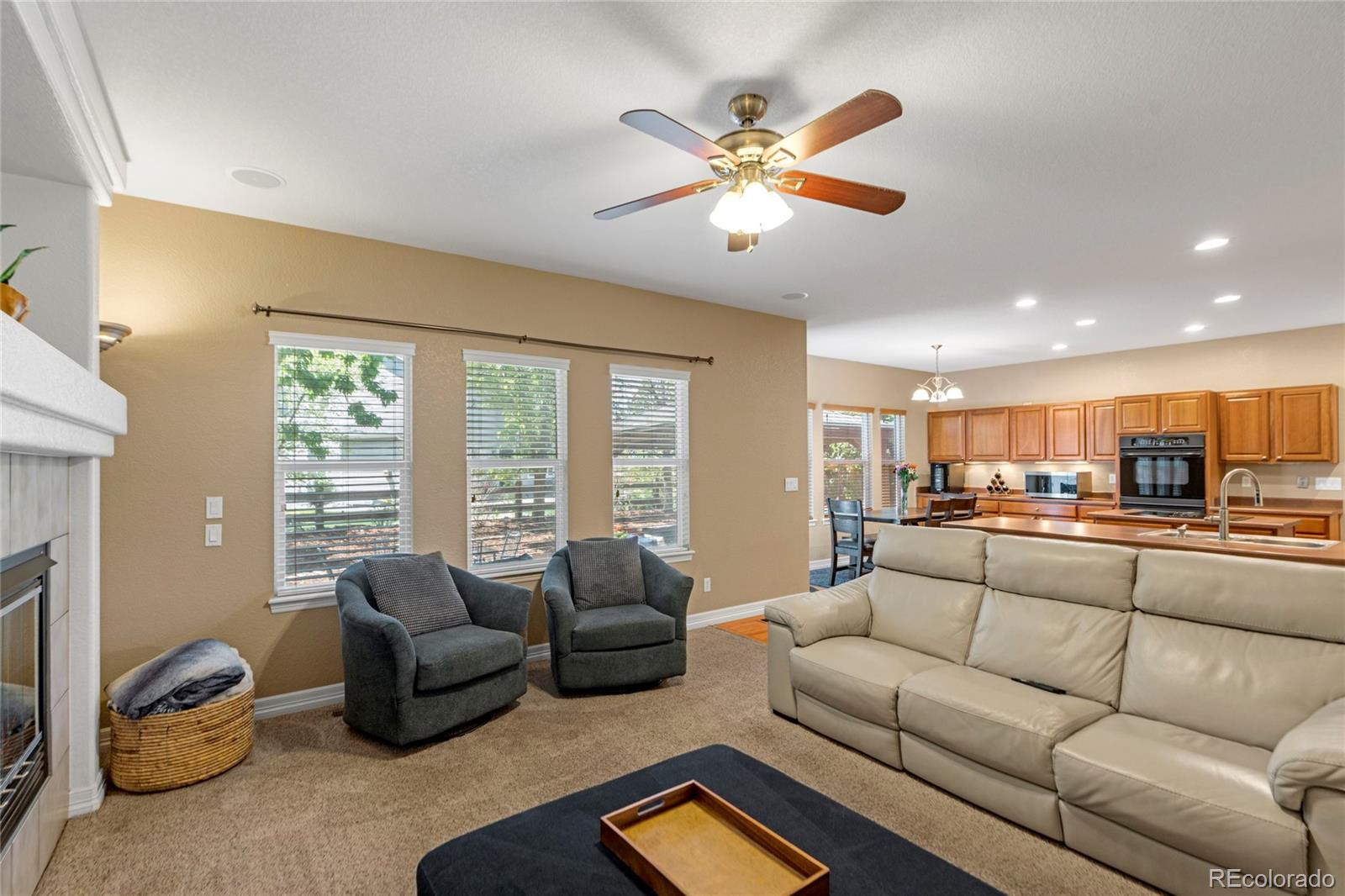 MLS Image #5 for 11943  song bird hills street,parker, Colorado