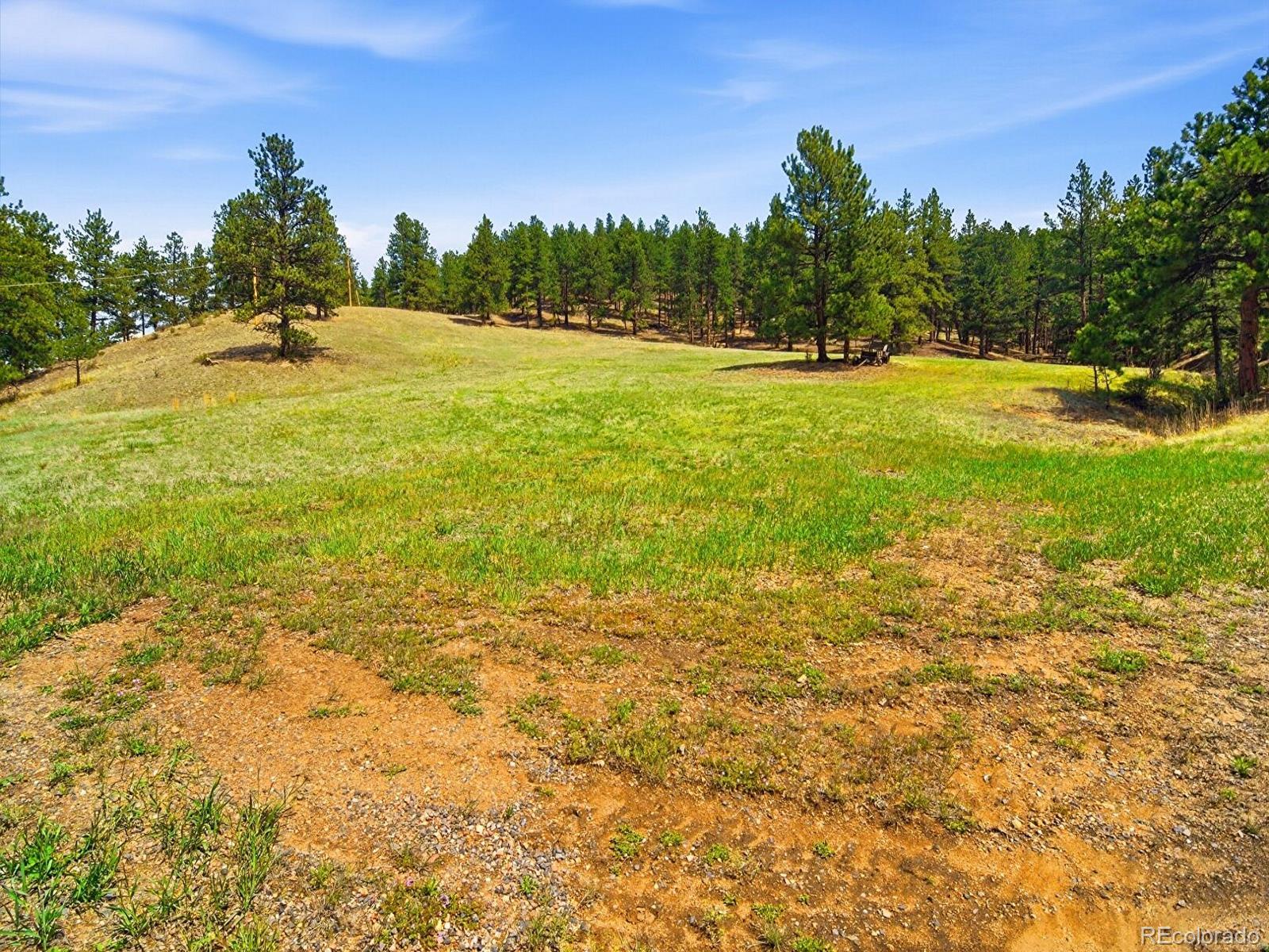 MLS Image #3 for 2830  kerr gulch road,evergreen, Colorado