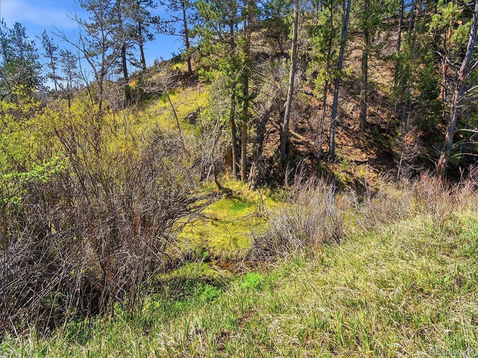 MLS Image #35 for 2830  kerr gulch road,evergreen, Colorado