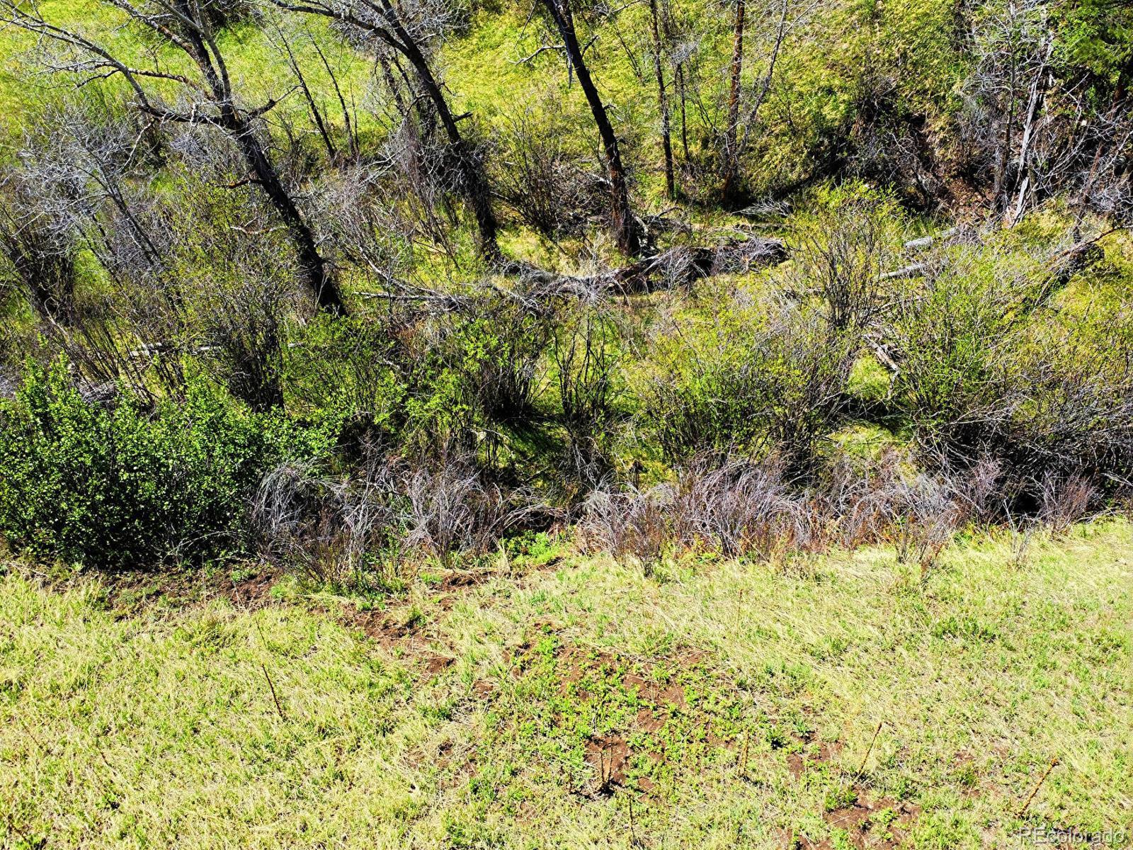 MLS Image #36 for 2830  kerr gulch road,evergreen, Colorado