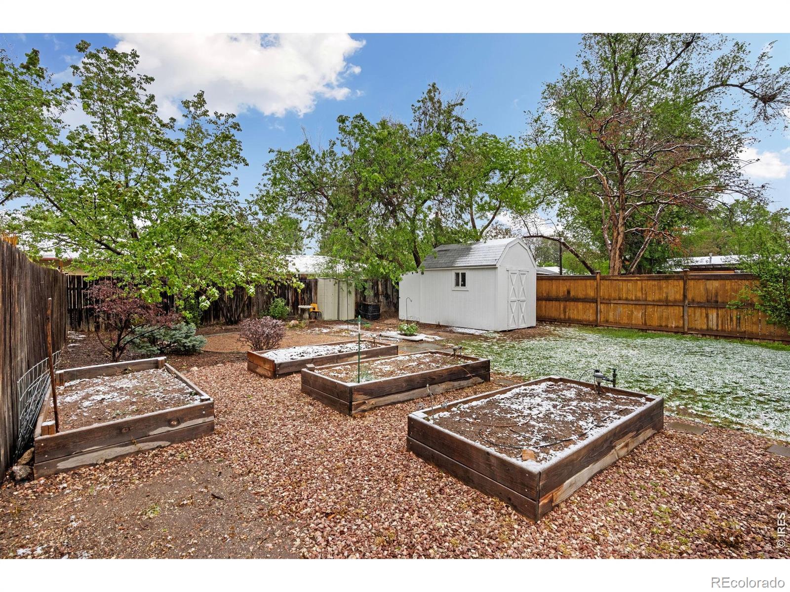MLS Image #12 for 516  parker street,fort collins, Colorado