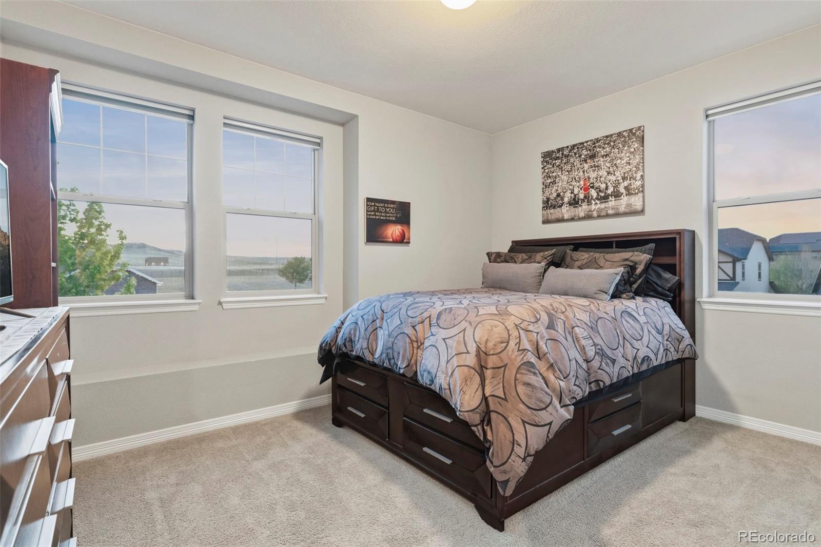 MLS Image #25 for 11616  jacobsen street,parker, Colorado