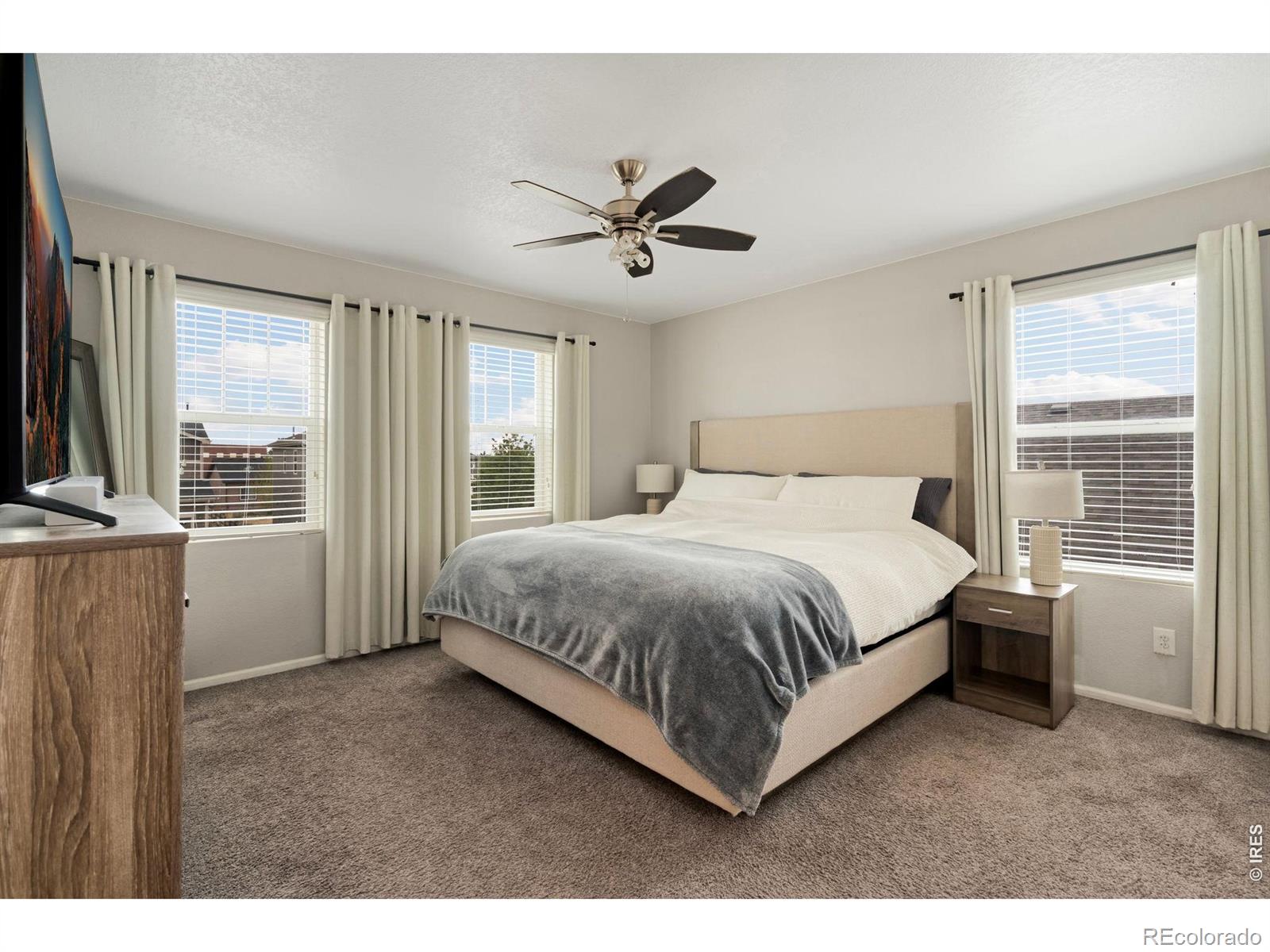 MLS Image #13 for 398  chipman drive,windsor, Colorado