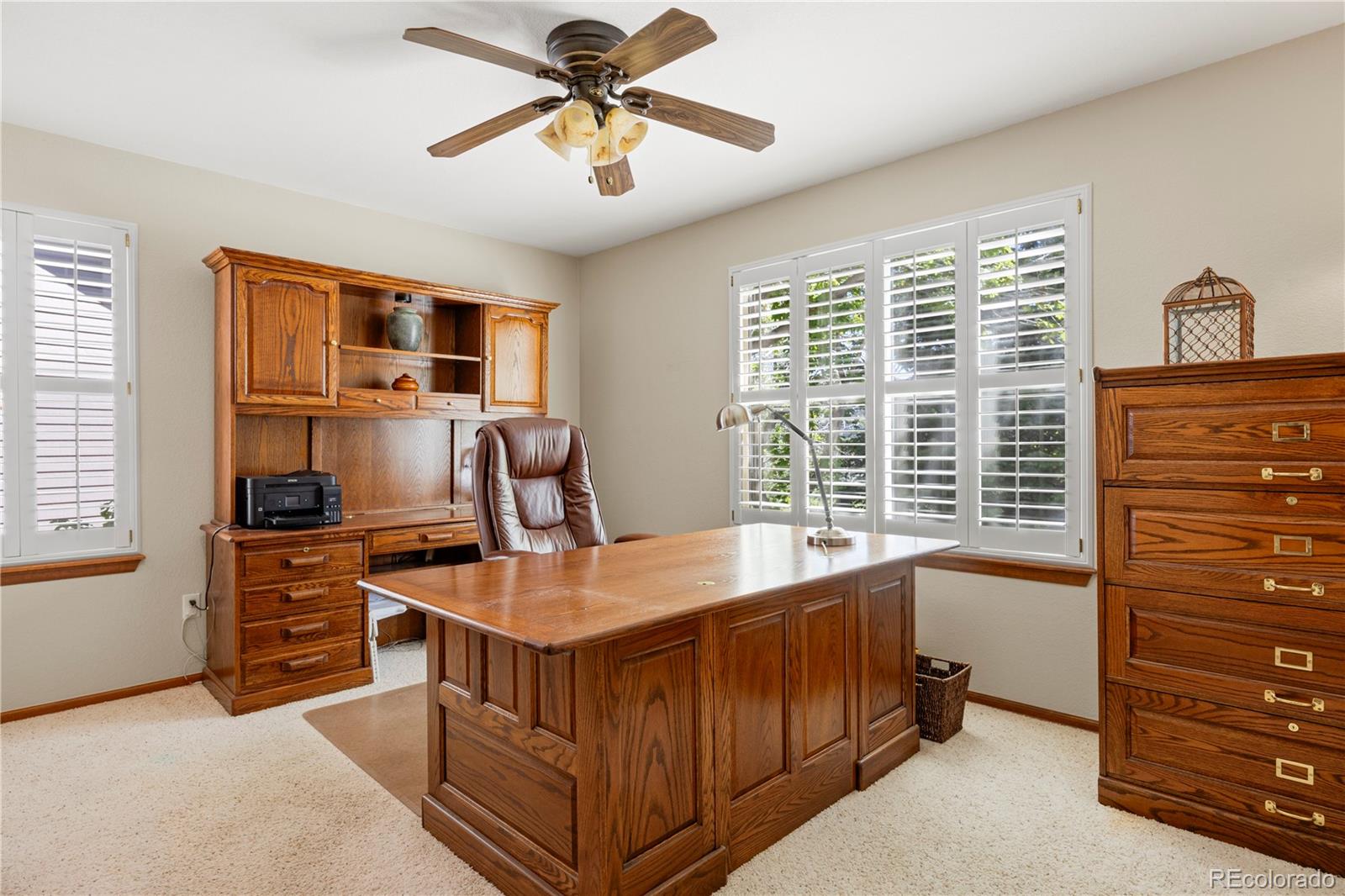 MLS Image #16 for 10032  astoria court,lone tree, Colorado