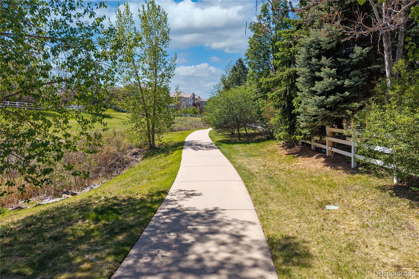 MLS Image #3 for 10032  astoria court,lone tree, Colorado
