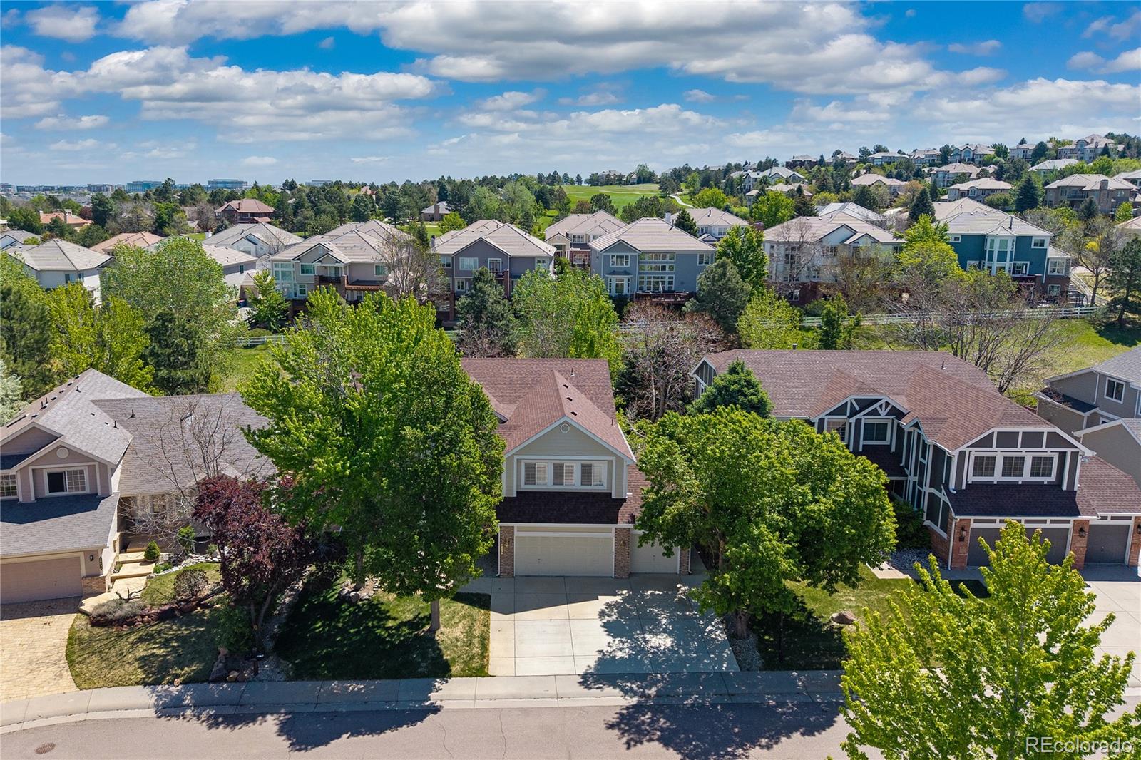 MLS Image #4 for 10032  astoria court,lone tree, Colorado