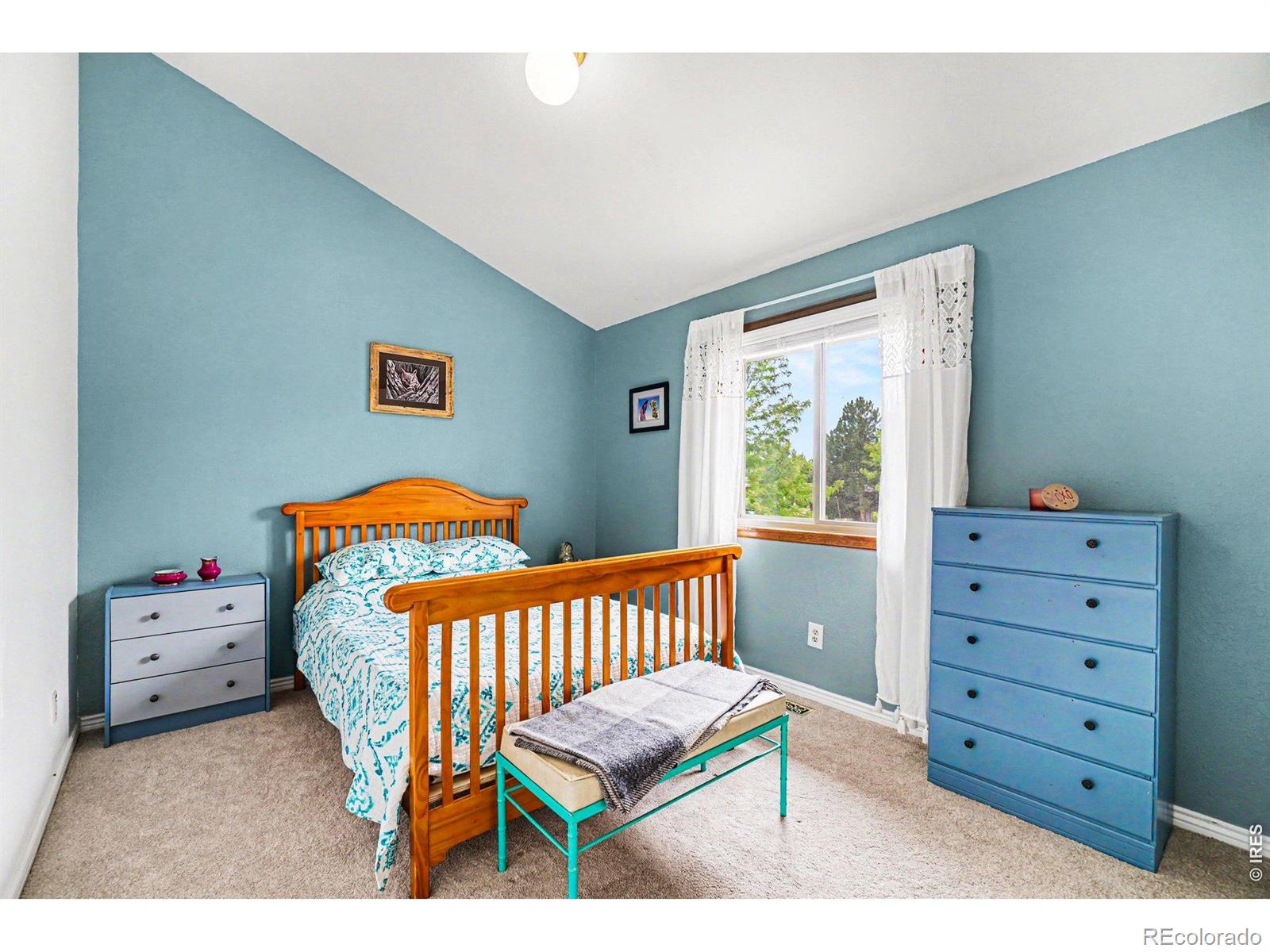 MLS Image #15 for 2108  rockspray court,longmont, Colorado
