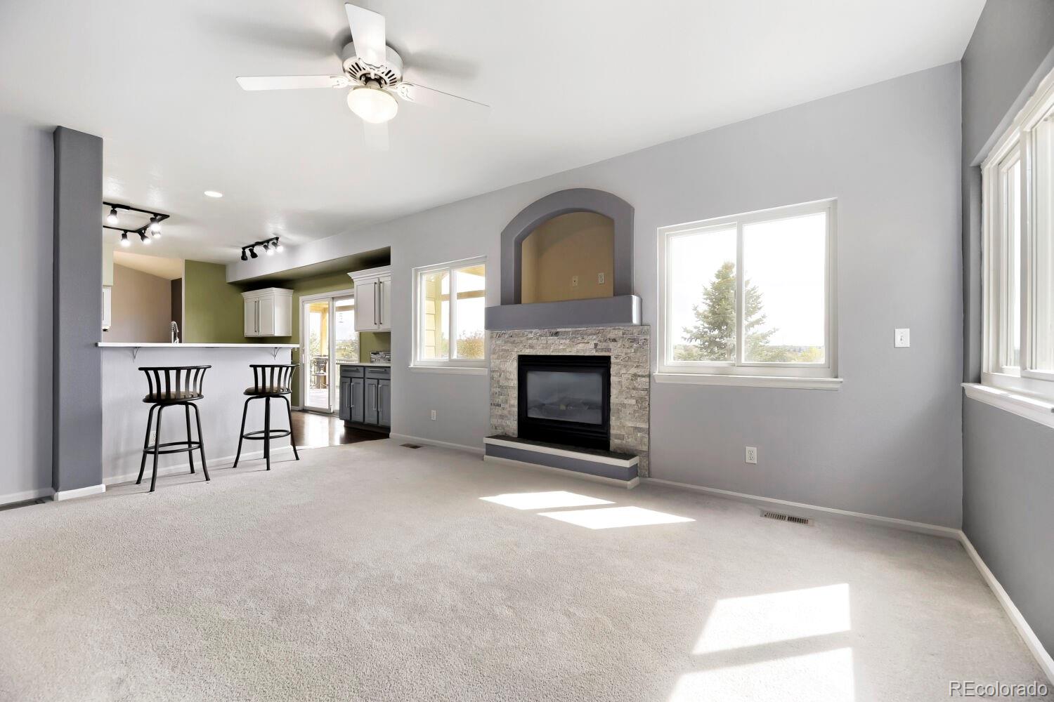 MLS Image #16 for 21630  crestone needles drive,parker, Colorado