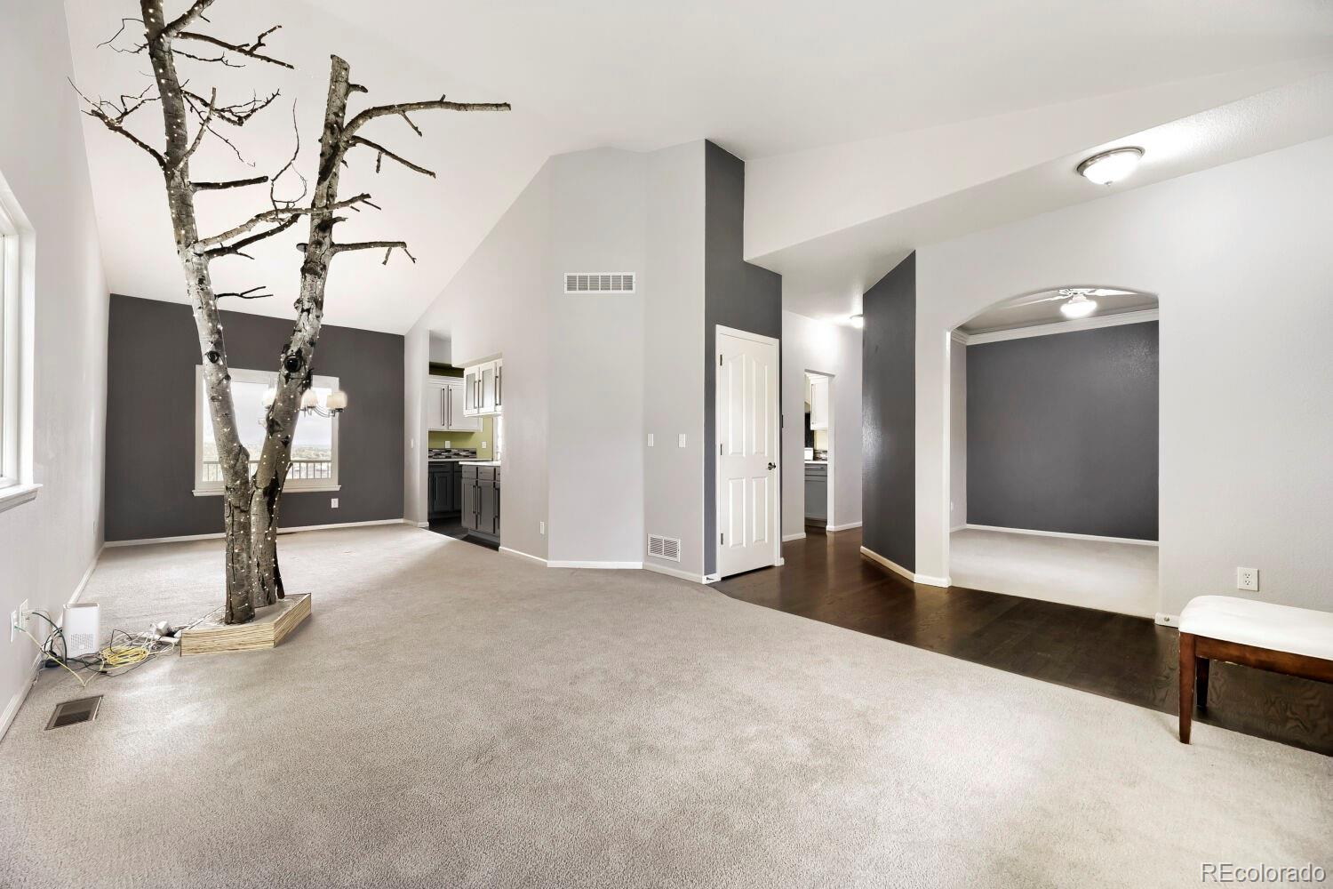 MLS Image #21 for 21630  crestone needles drive,parker, Colorado