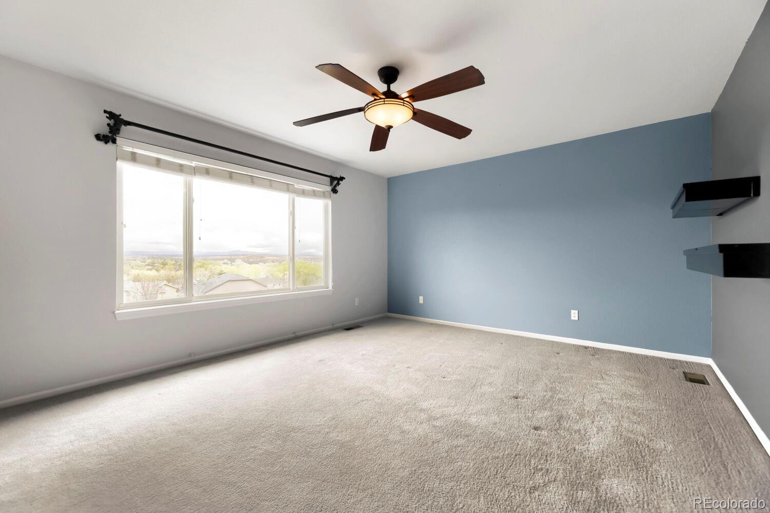MLS Image #24 for 21630  crestone needles drive,parker, Colorado