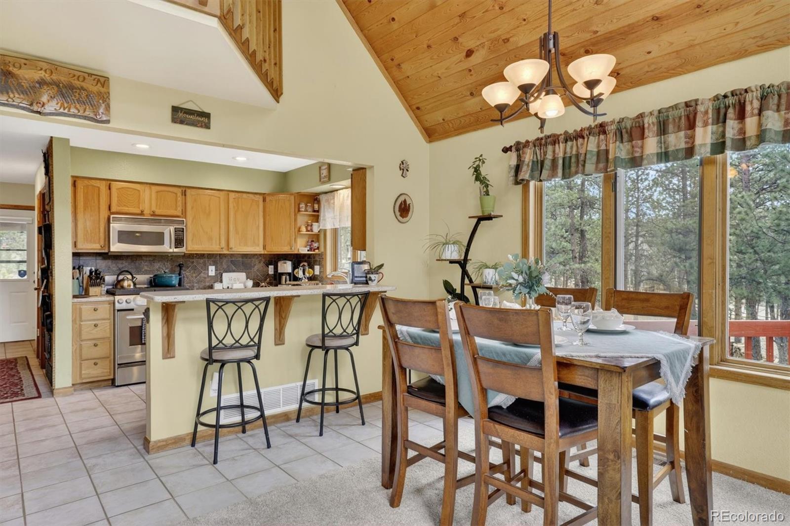 MLS Image #10 for 599  vigilante avenue,bailey, Colorado