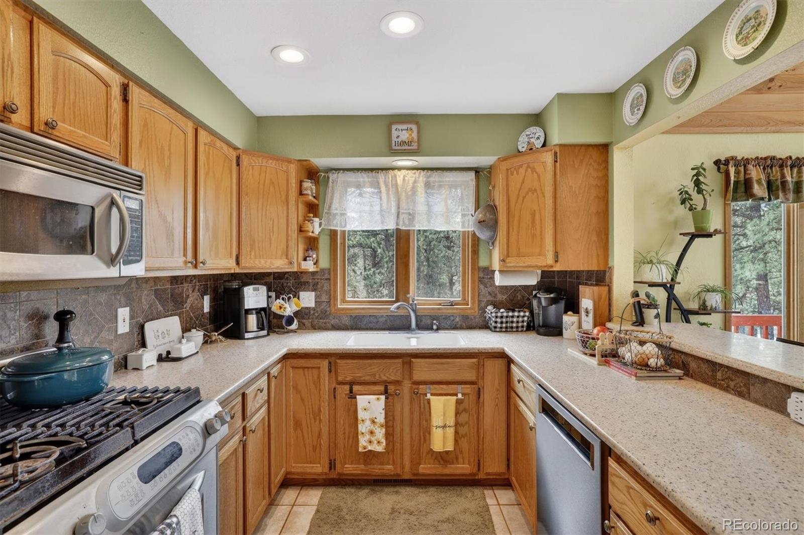 MLS Image #11 for 599  vigilante avenue,bailey, Colorado