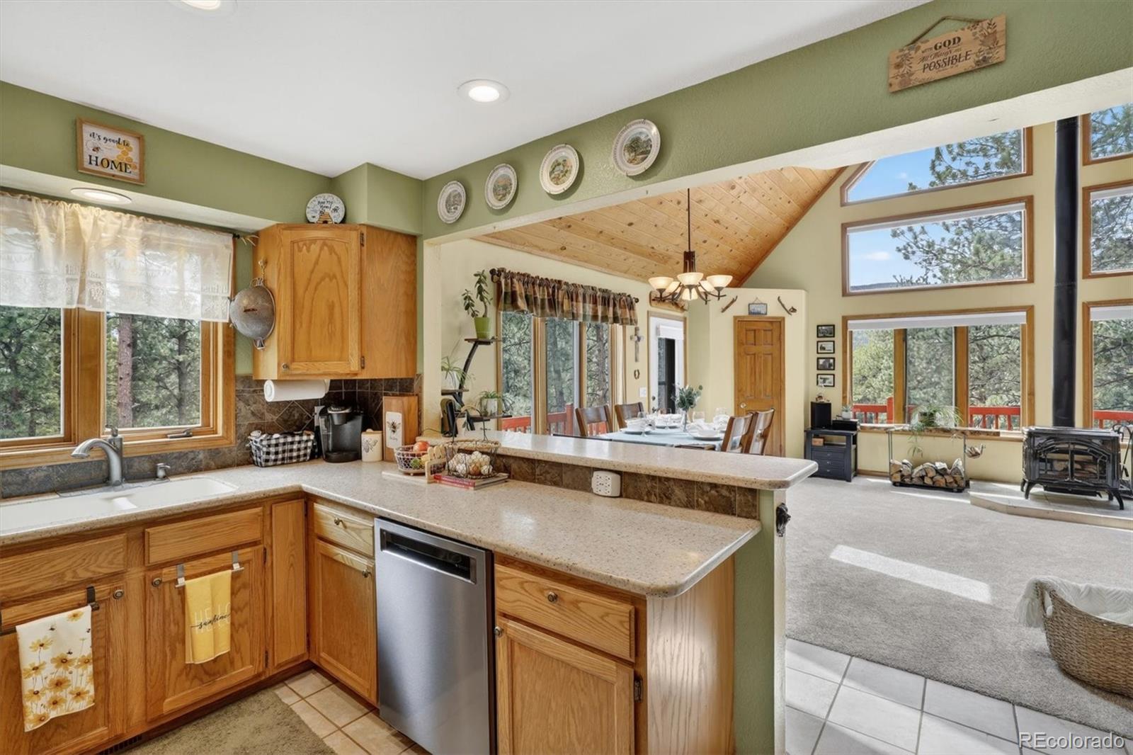 MLS Image #12 for 599  vigilante avenue,bailey, Colorado
