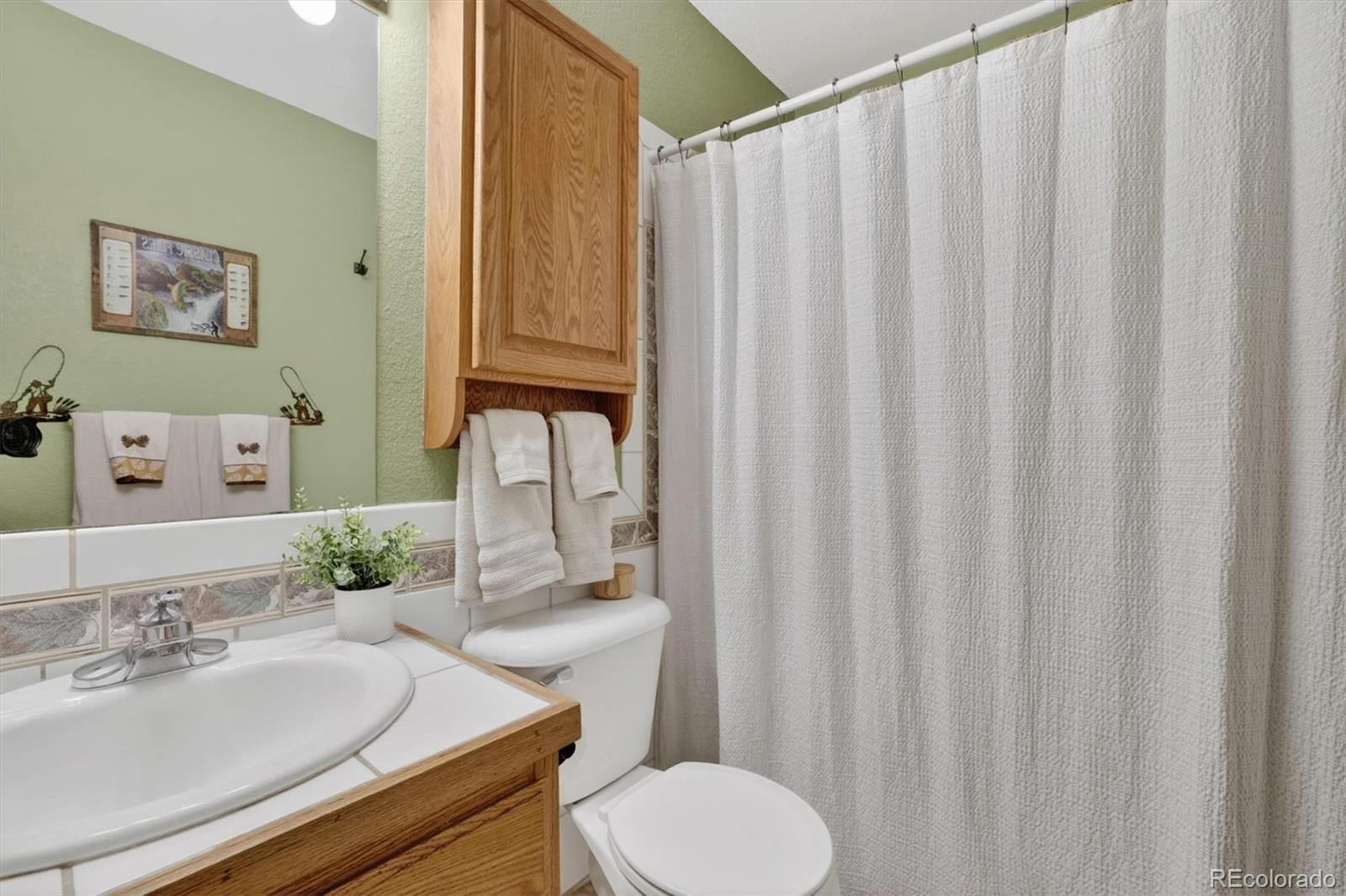MLS Image #14 for 599  vigilante avenue,bailey, Colorado