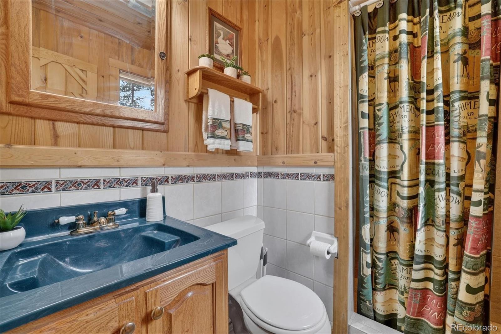 MLS Image #27 for 599  vigilante avenue,bailey, Colorado
