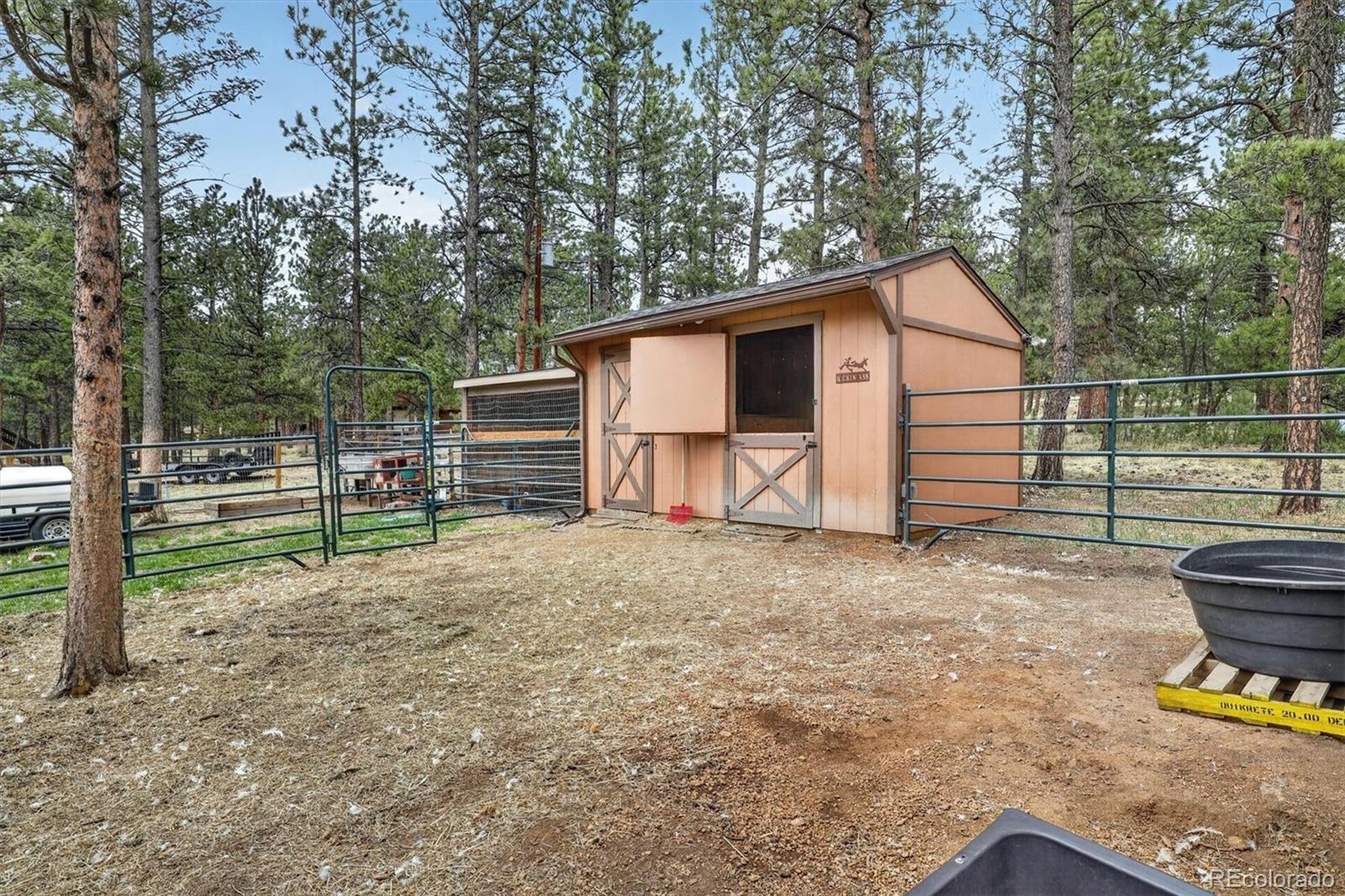 MLS Image #28 for 599  vigilante avenue,bailey, Colorado