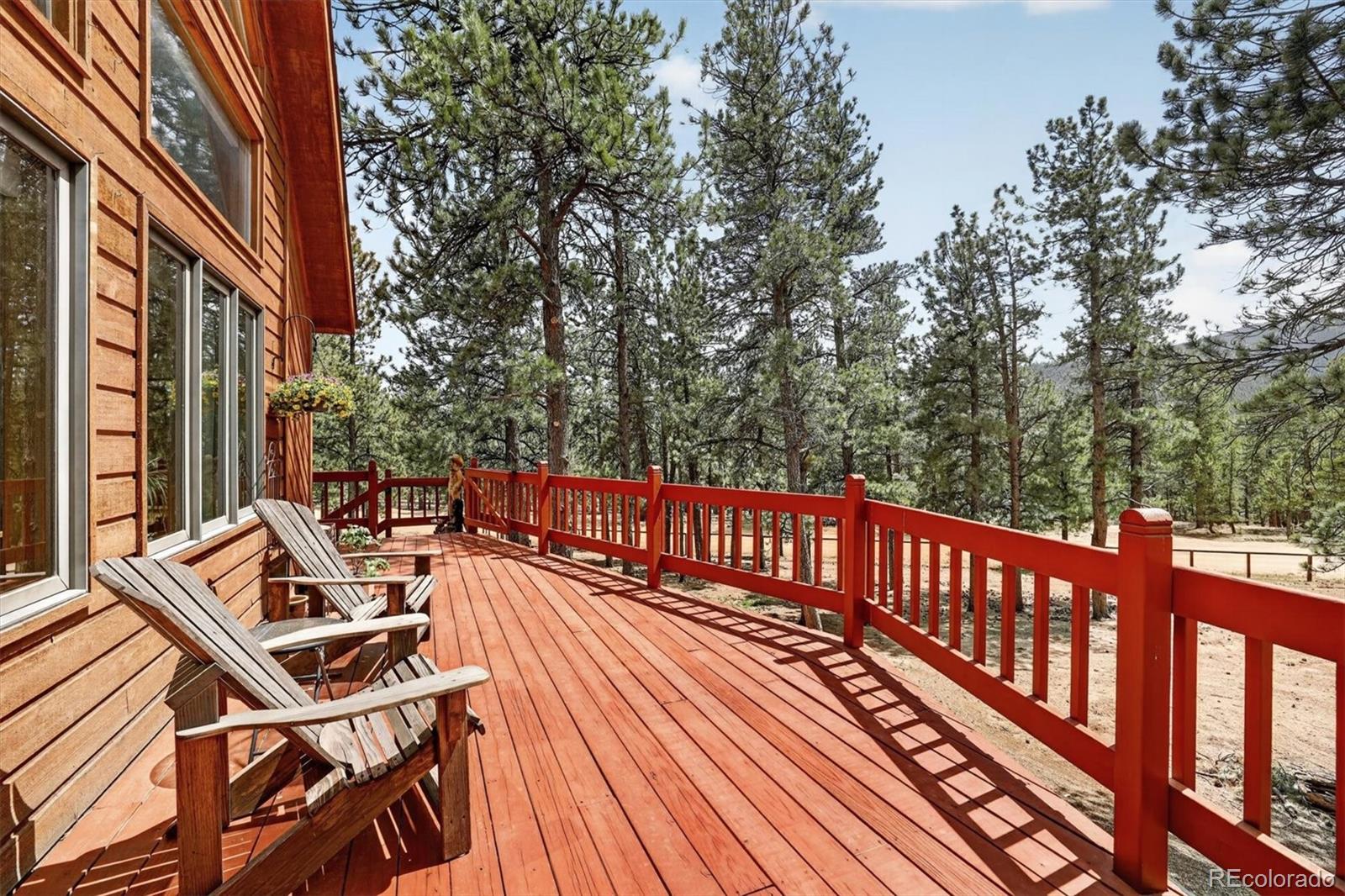 MLS Image #5 for 599  vigilante avenue,bailey, Colorado