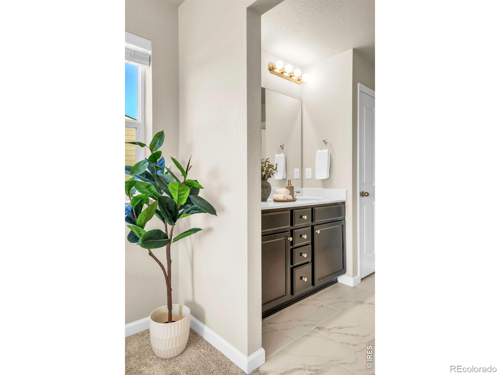 MLS Image #16 for 360  marlowe court,erie, Colorado